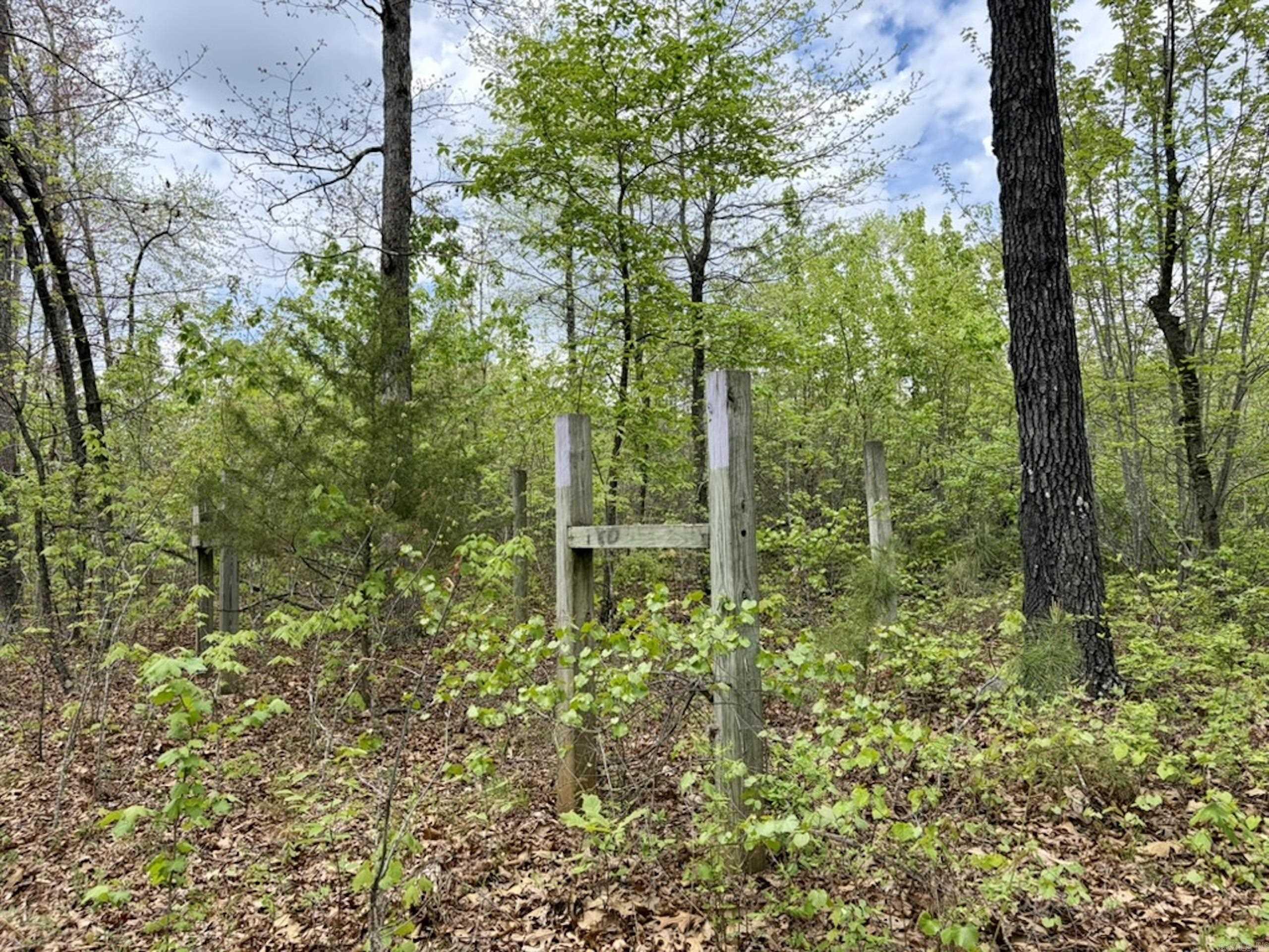 000 Rex Road  Scotland, AR