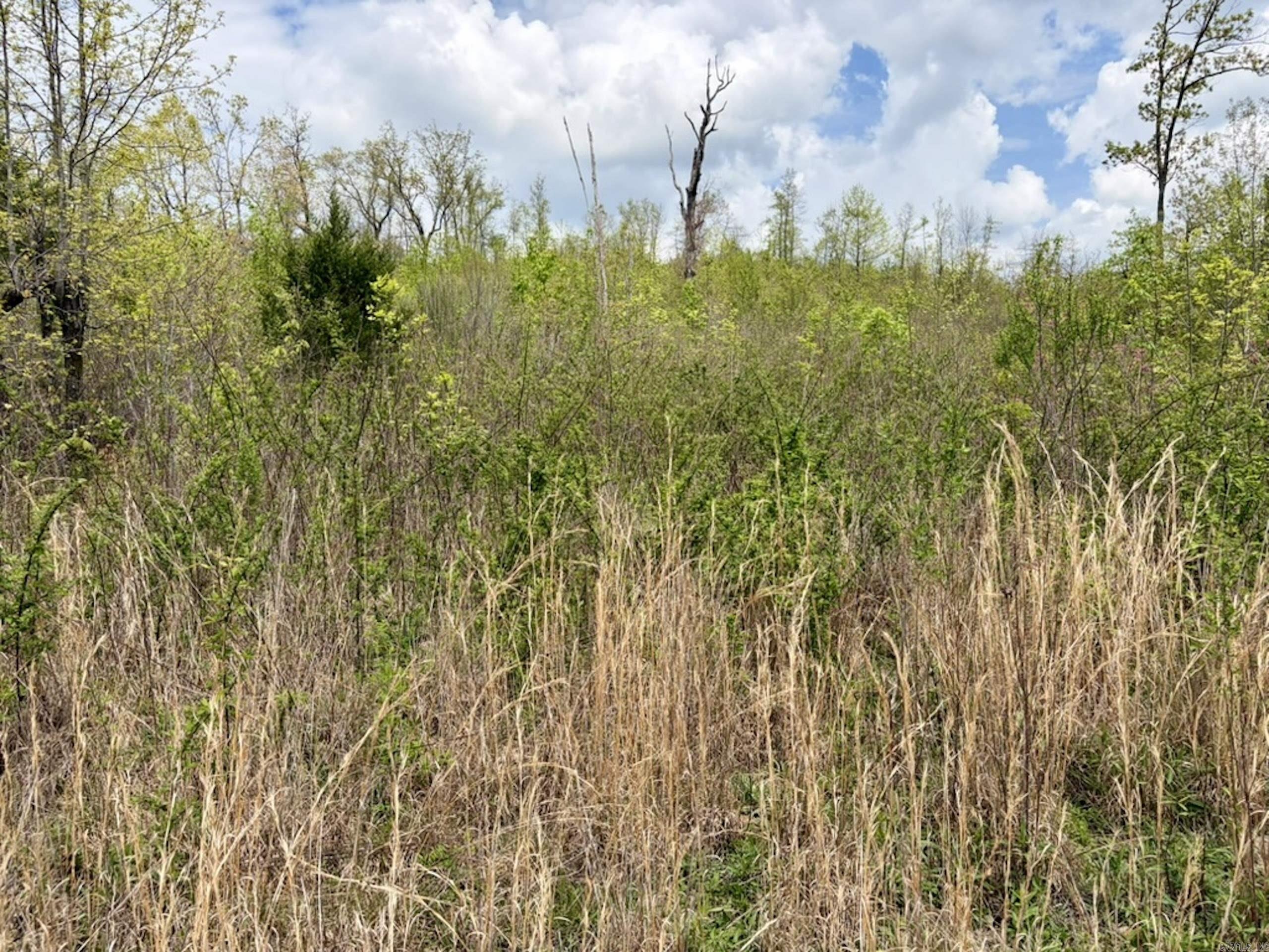 000 Rex Road  Scotland, AR