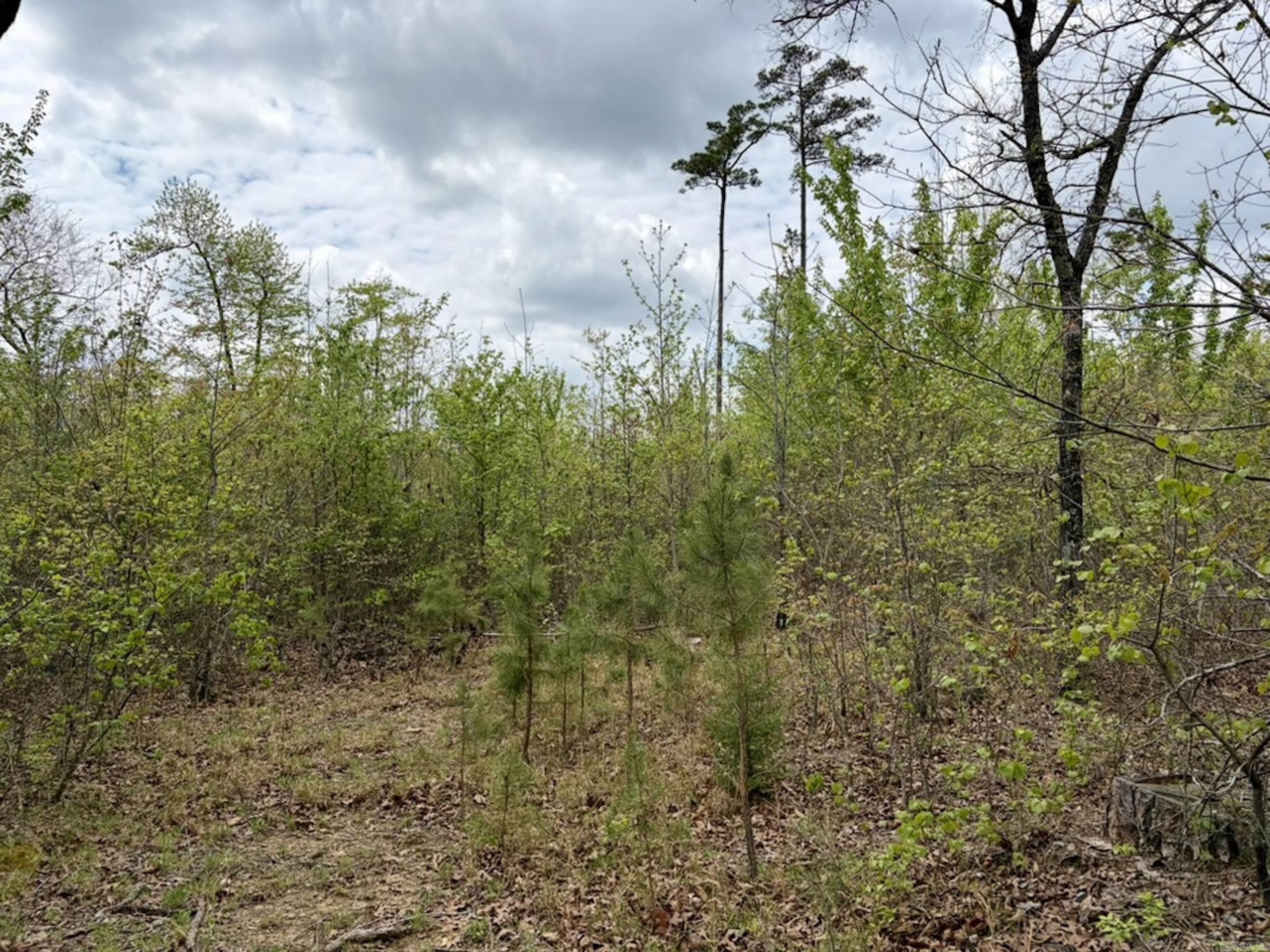 000 Rex Road  Scotland, AR