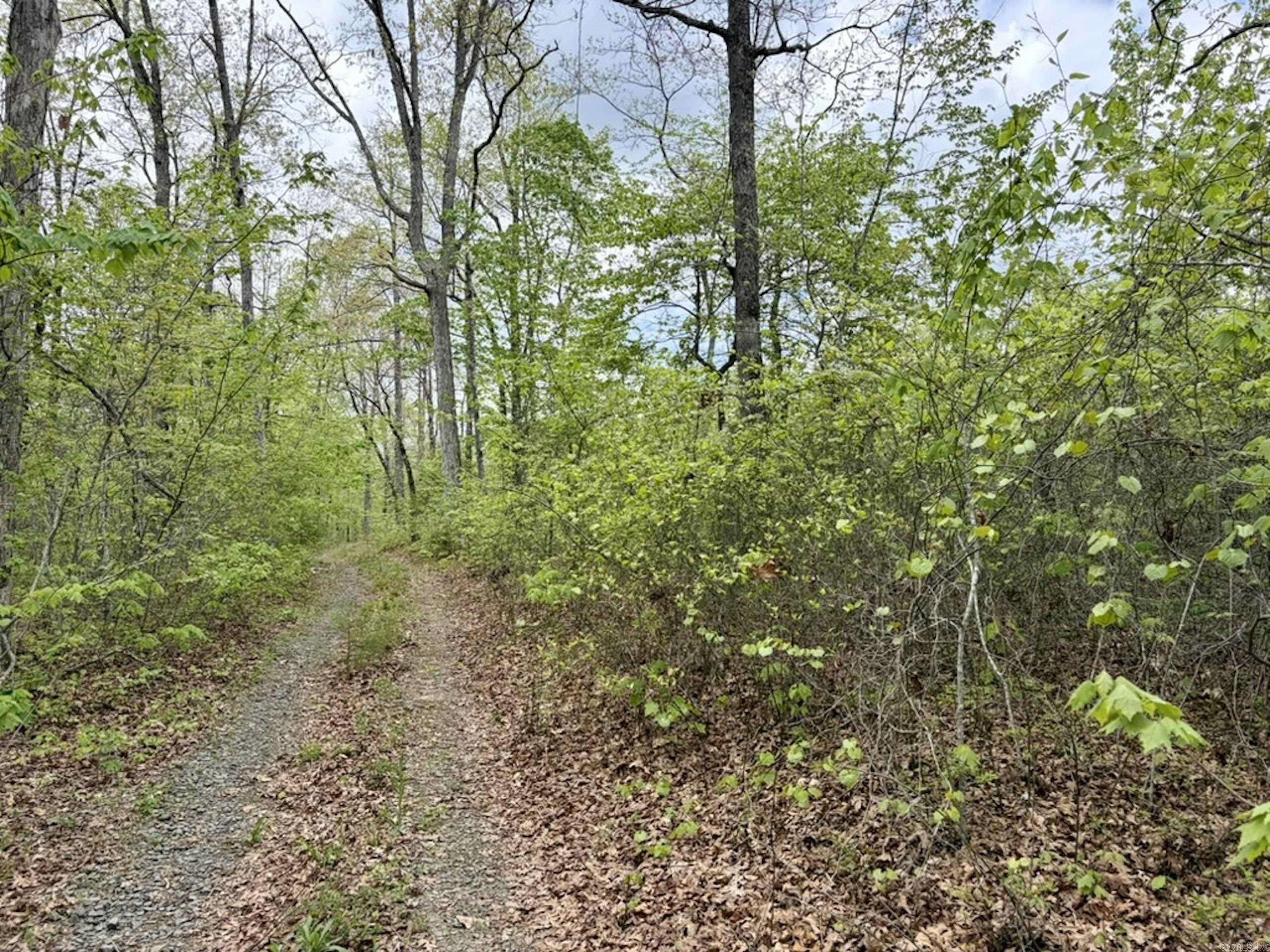 000 Rex Road  Scotland, AR