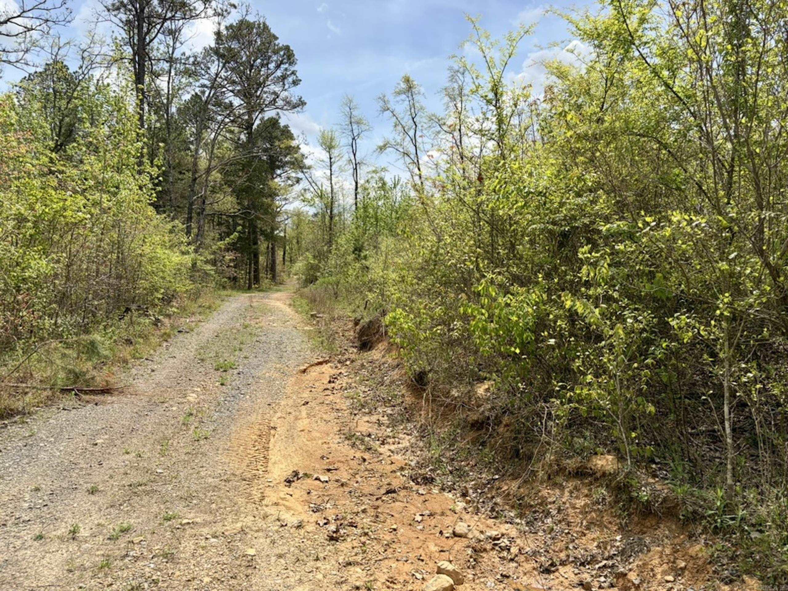 000 Rex Road  Scotland, AR