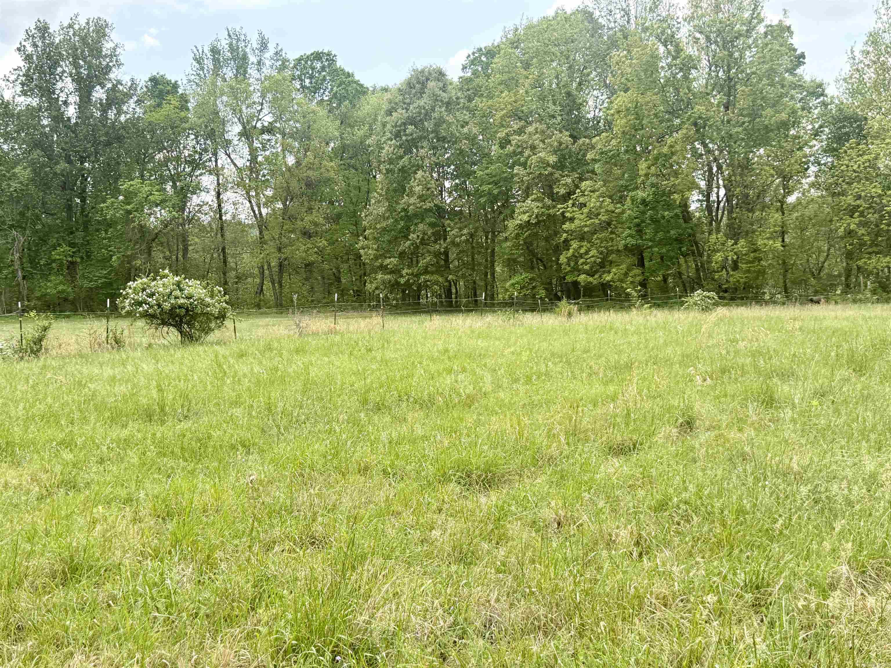 73.22 acres Greene 620  Paragould, AR