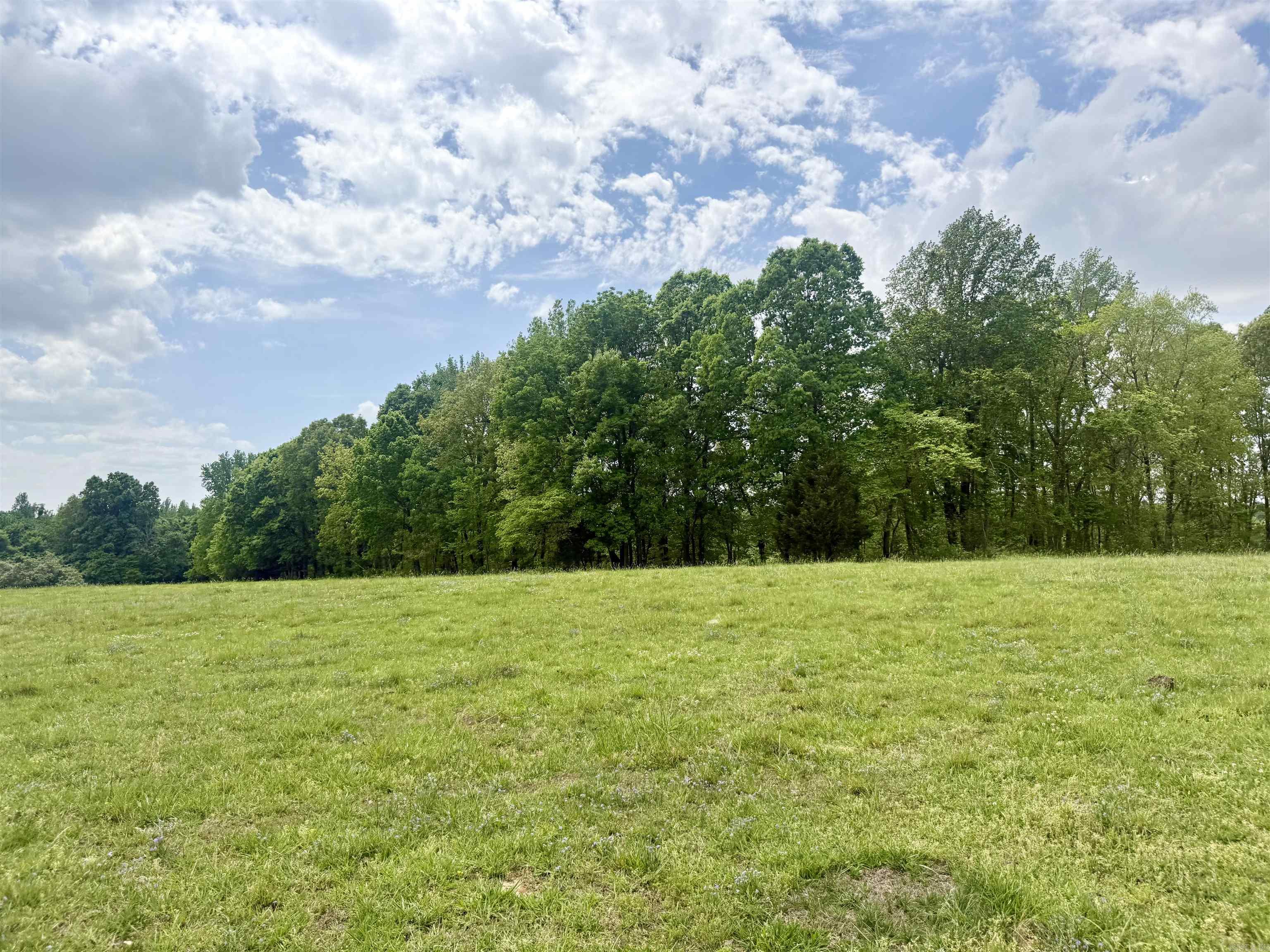 73.22 acres Greene 620  Paragould, AR