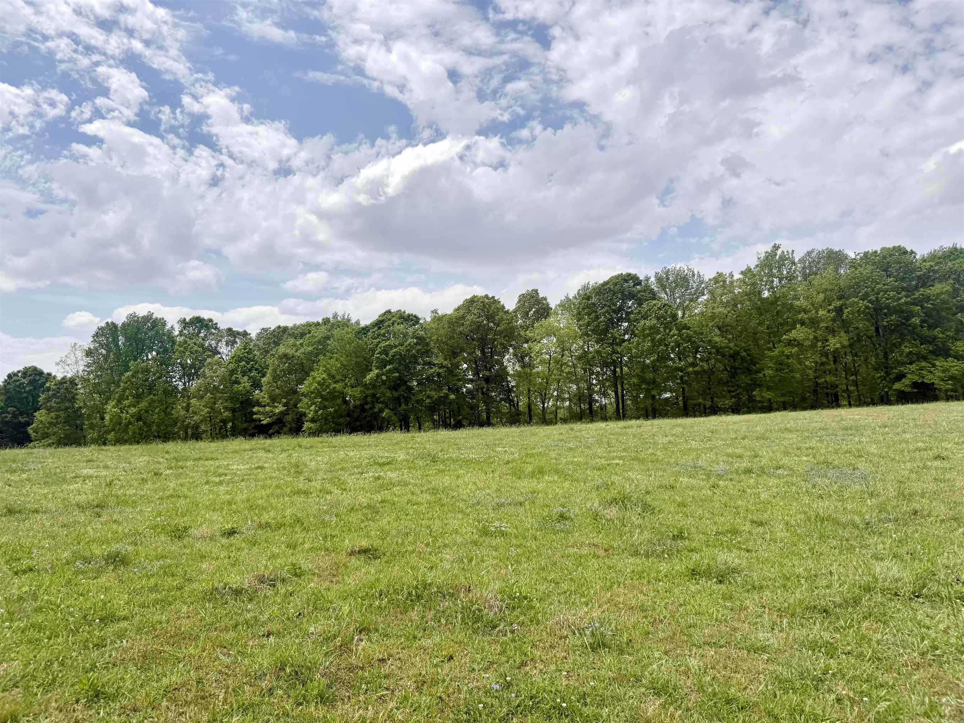 73.22 acres Greene 620  Paragould, AR