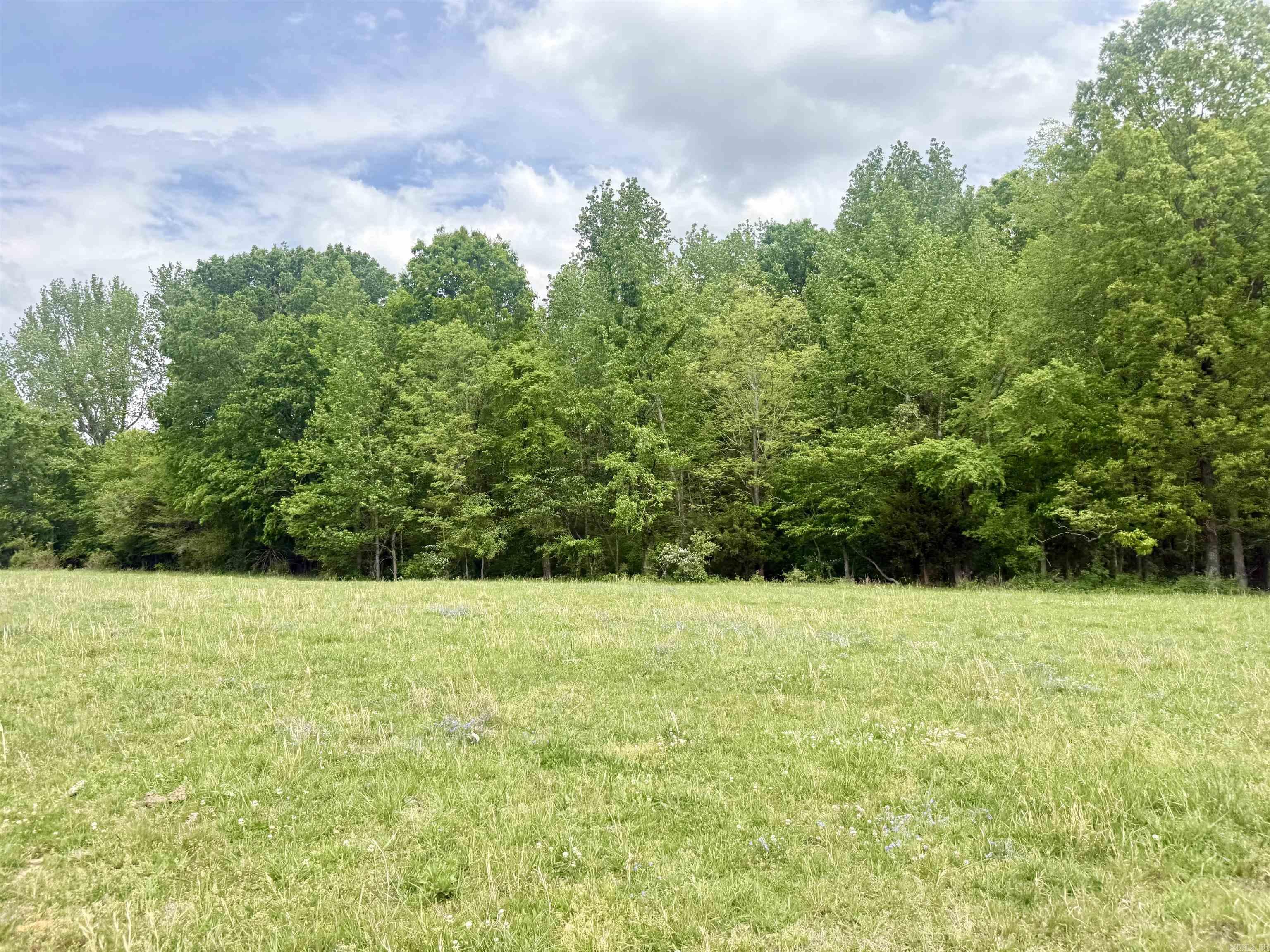 73.22 acres Greene 620  Paragould, AR