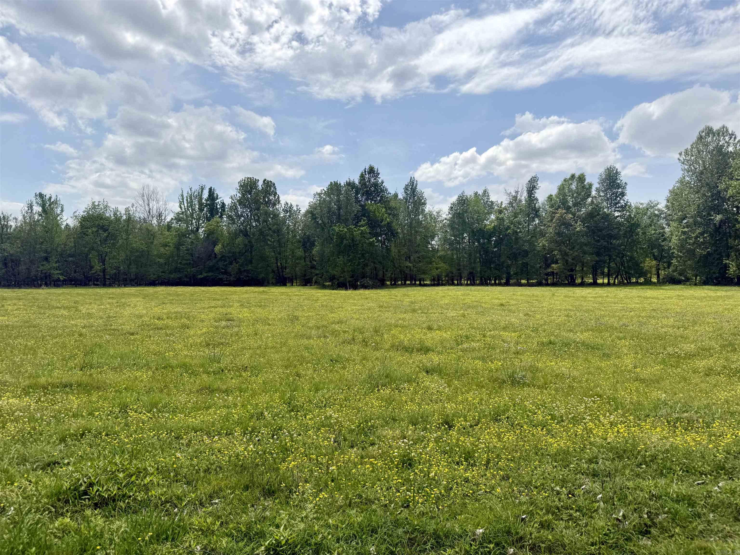 73.22 acres Greene 620  Paragould, AR