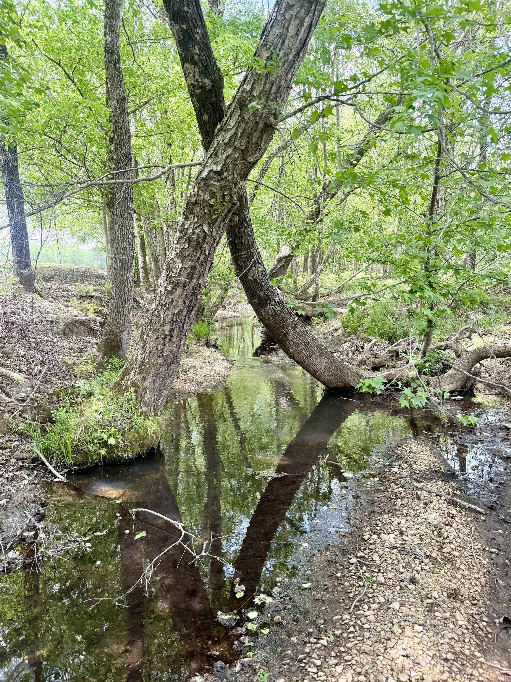 73.22 acres Greene 620  Paragould, AR