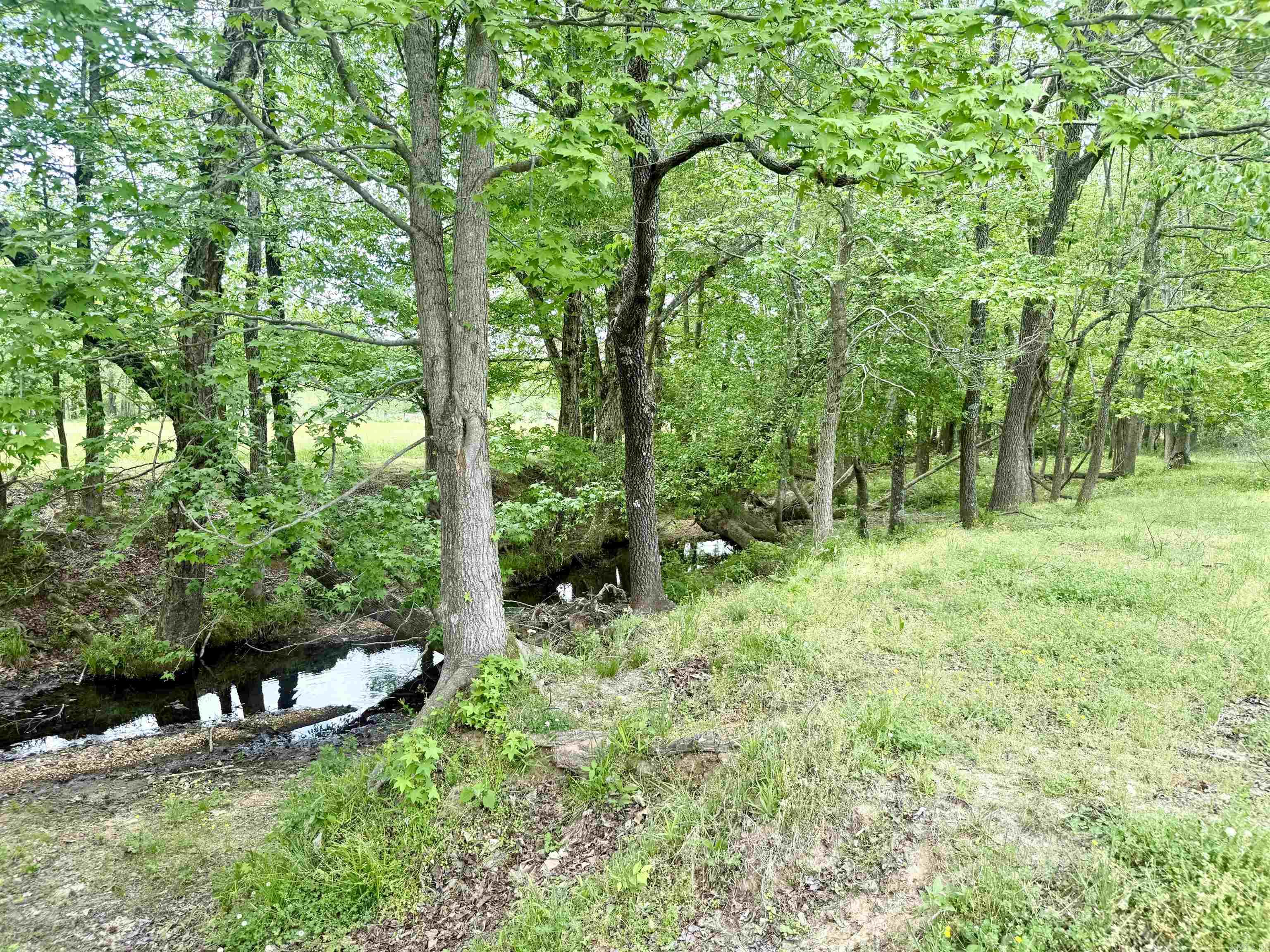 73.22 acres Greene 620  Paragould, AR