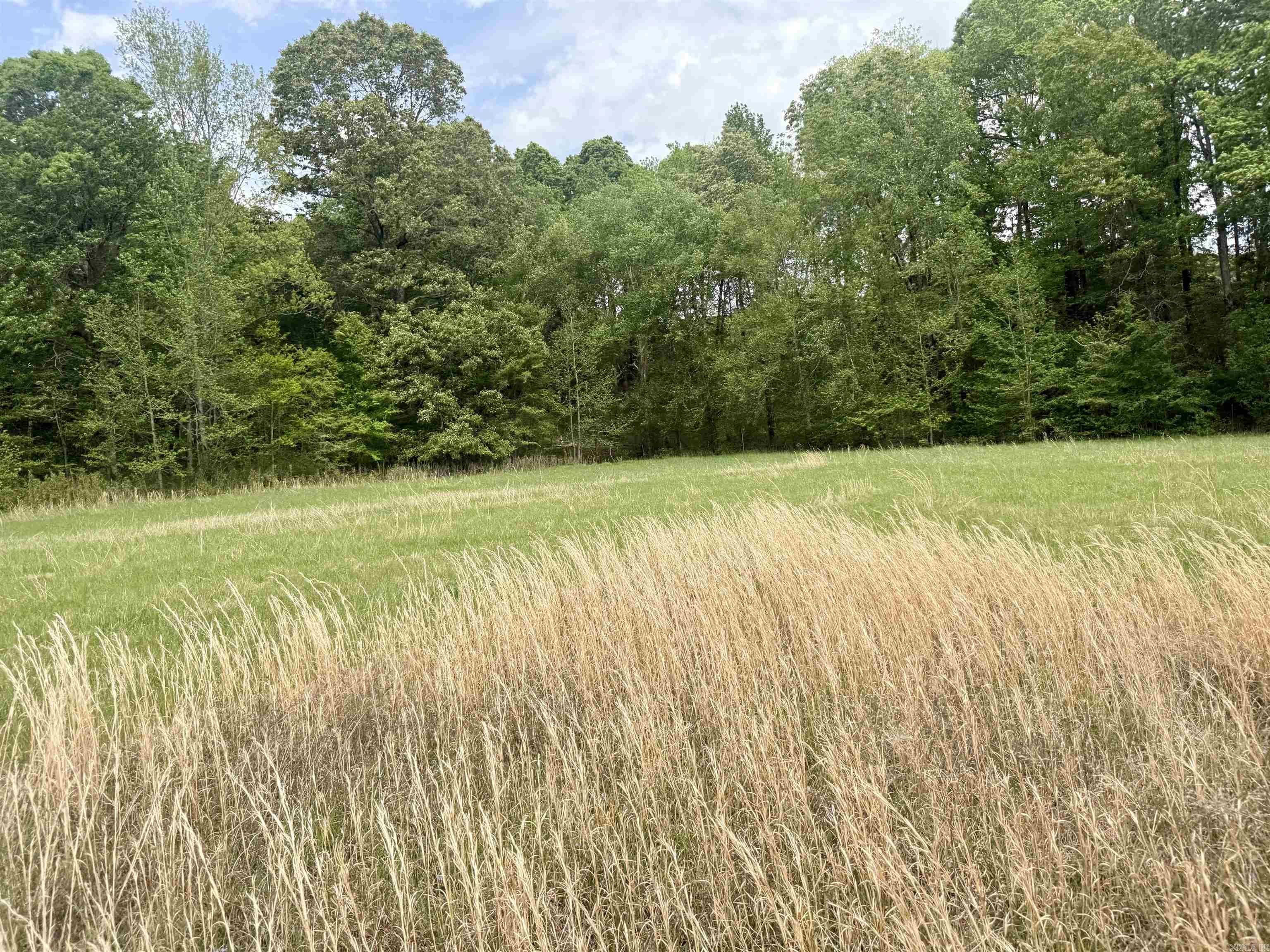 73.22 acres Greene 620  Paragould, AR