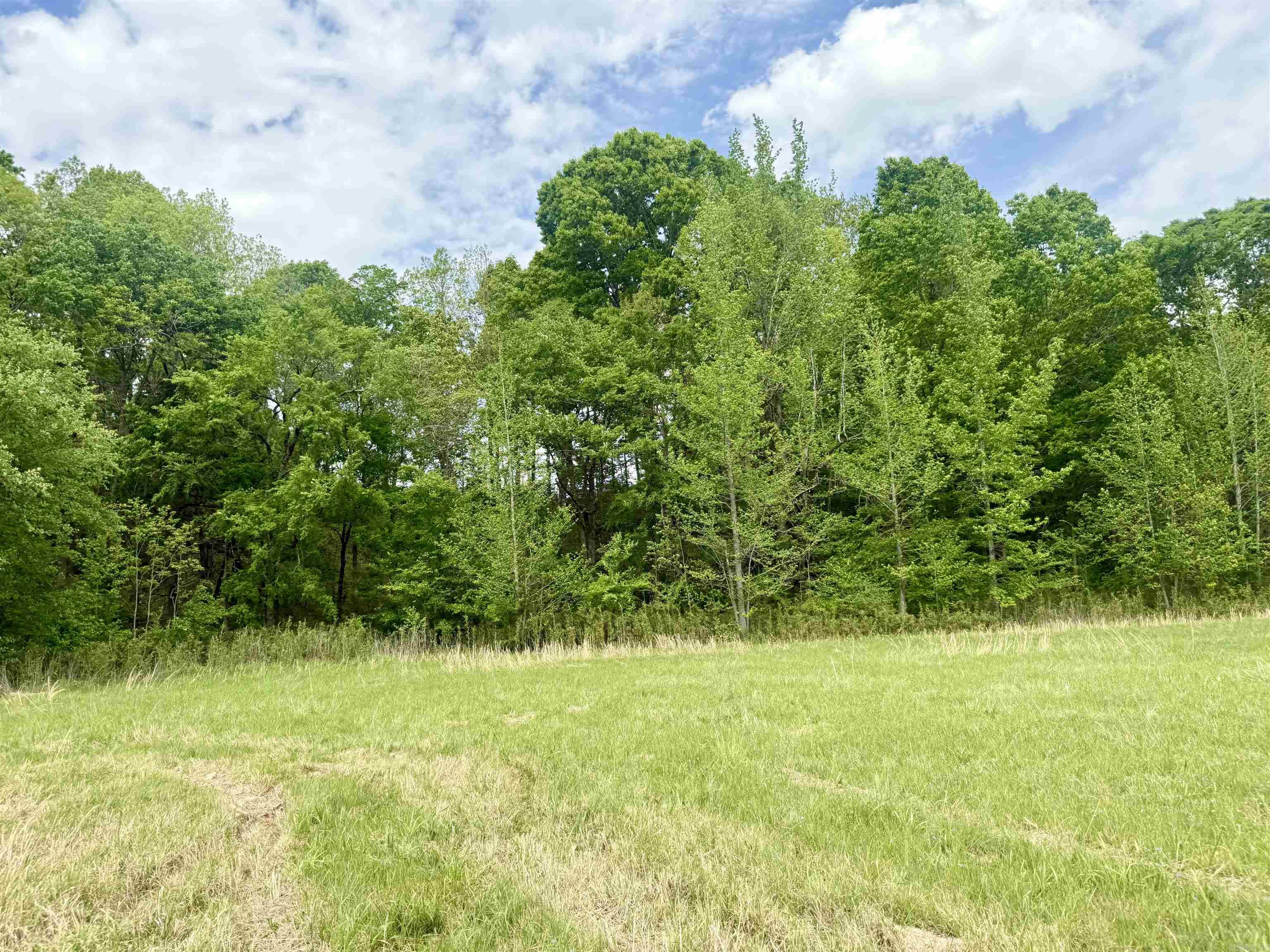 73.22 acres Greene 620  Paragould, AR