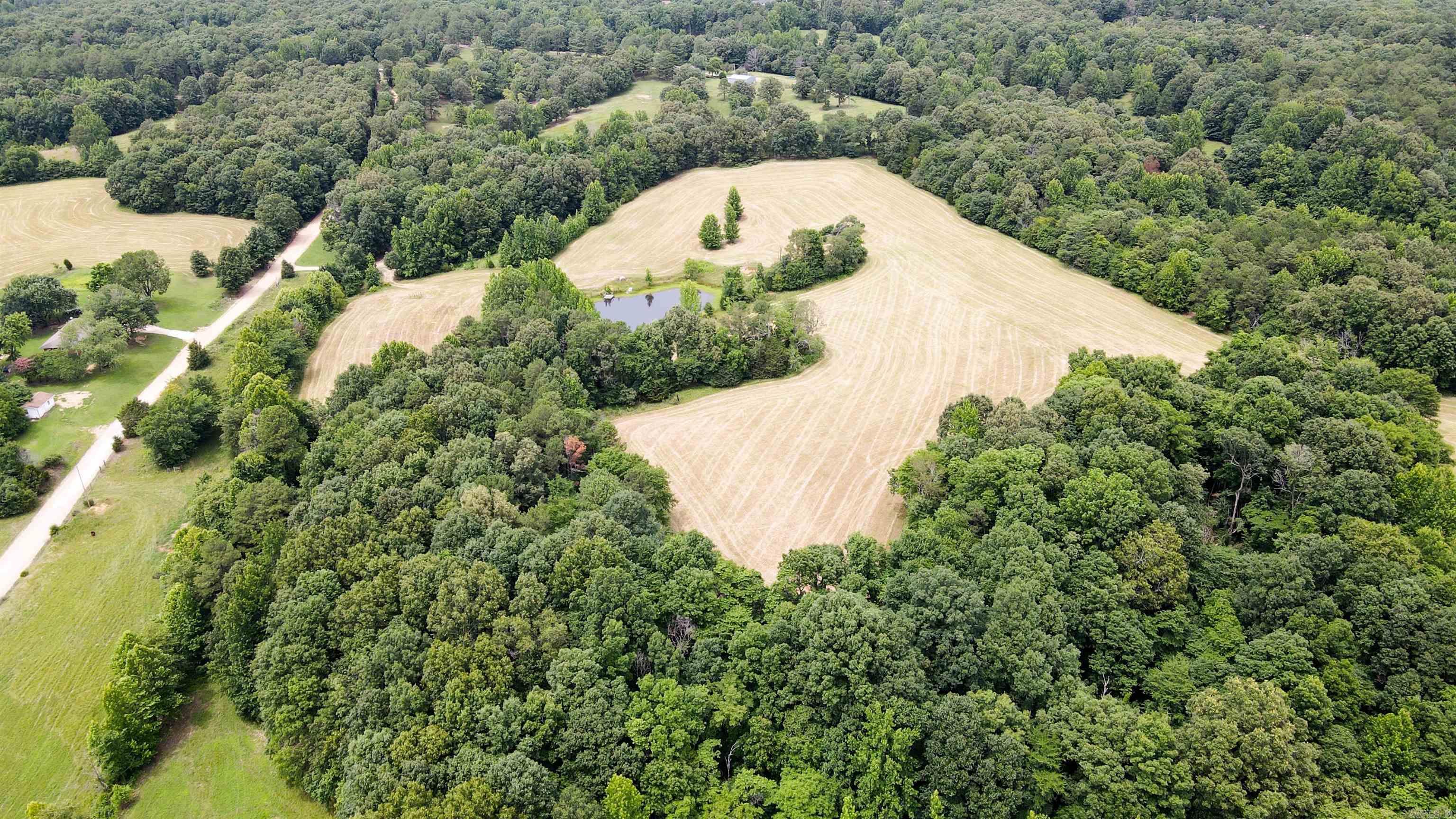 73.22 acres Greene 620  Paragould, AR