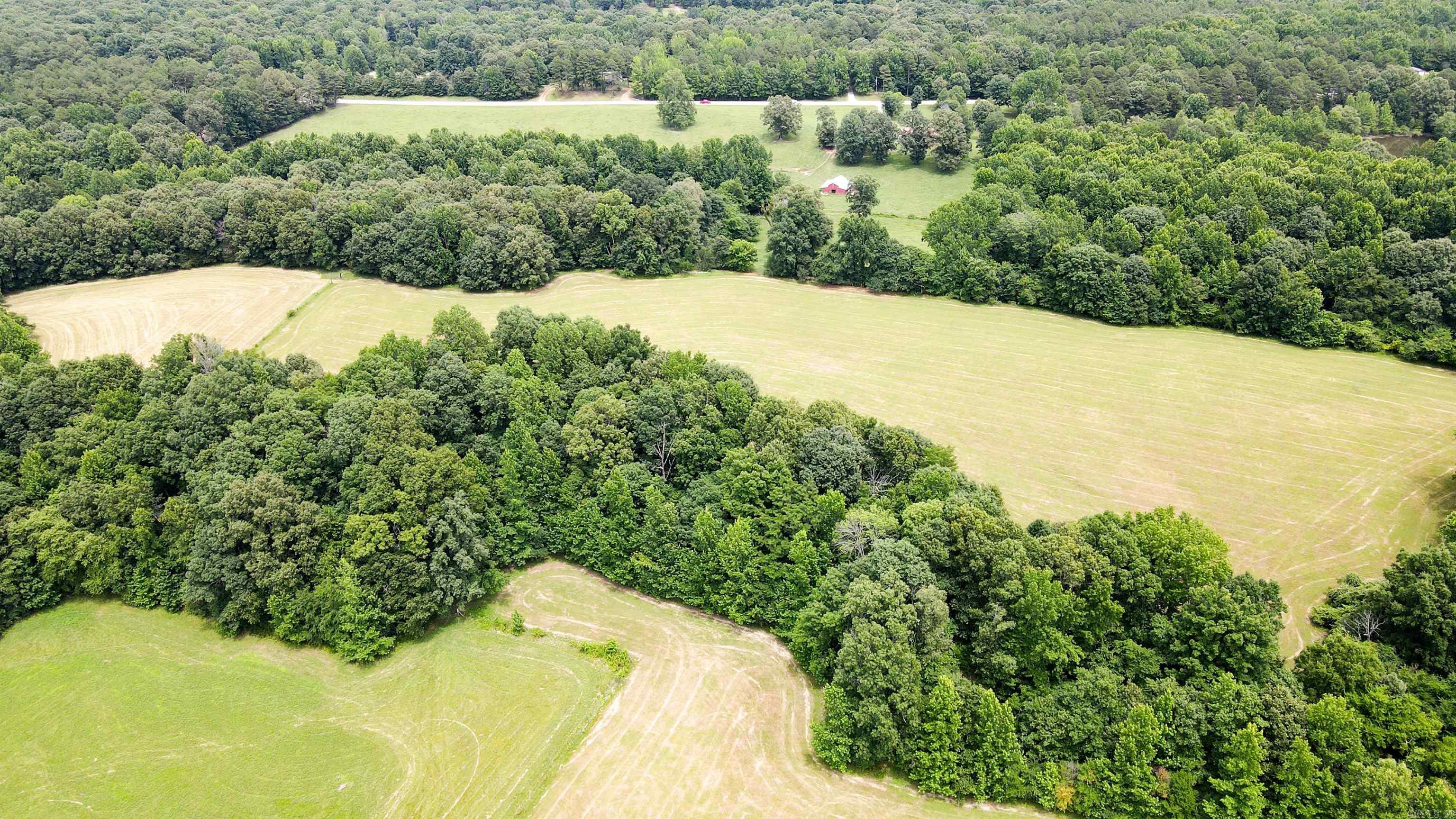 73.22 acres Greene 620  Paragould, AR