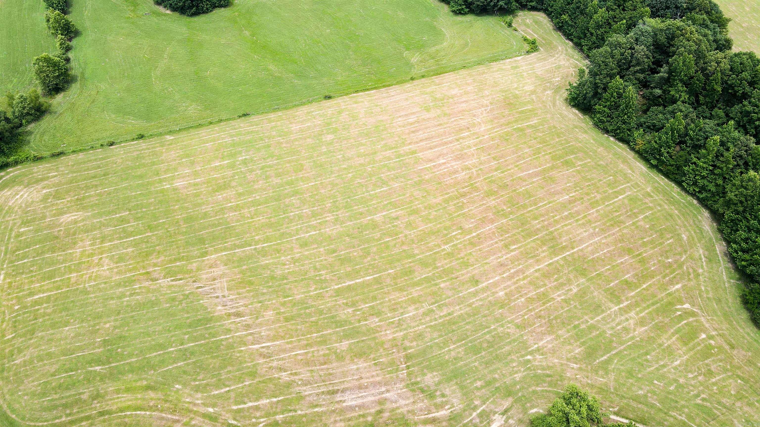 73.22 acres Greene 620  Paragould, AR