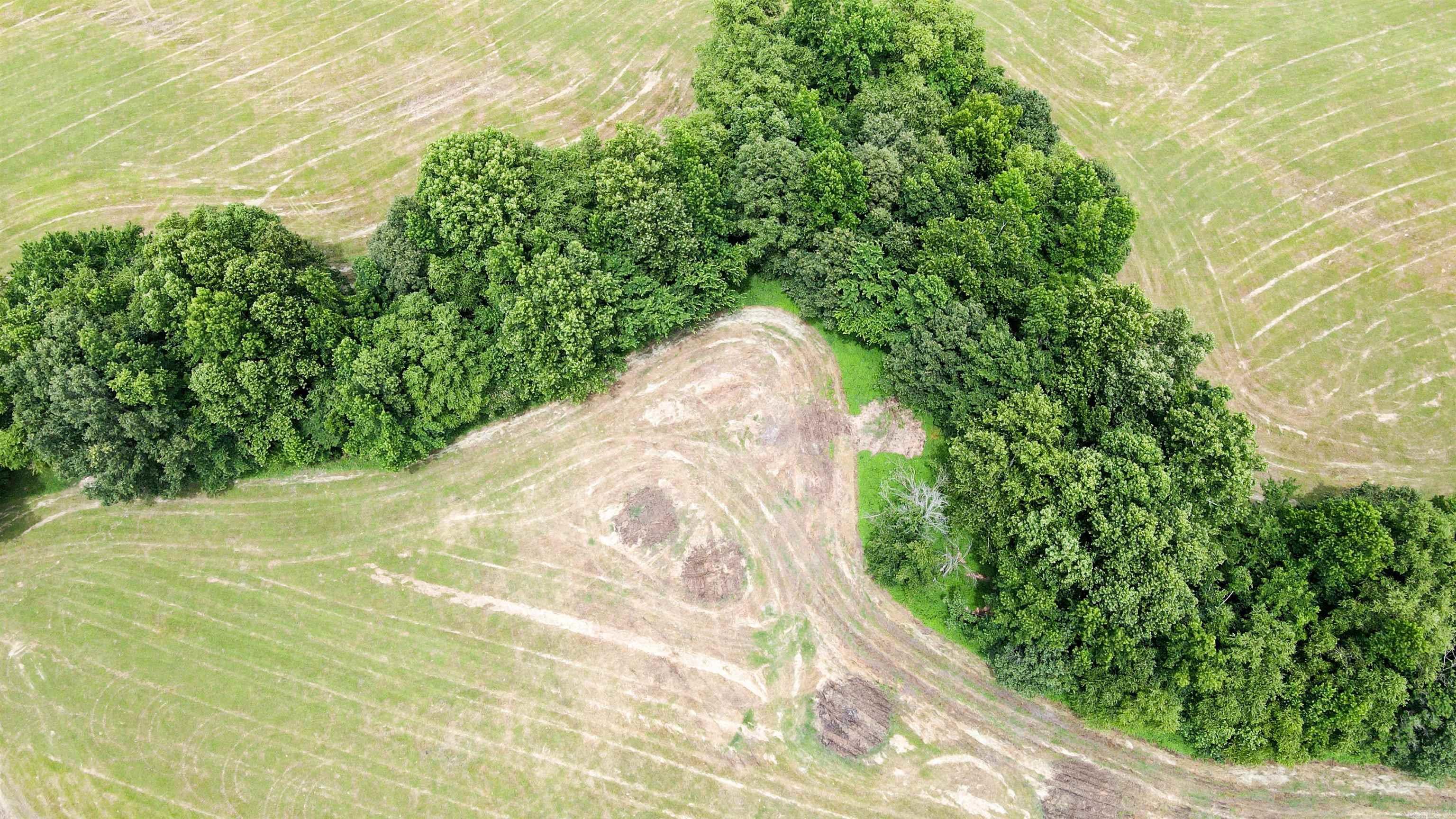 73.22 acres Greene 620  Paragould, AR