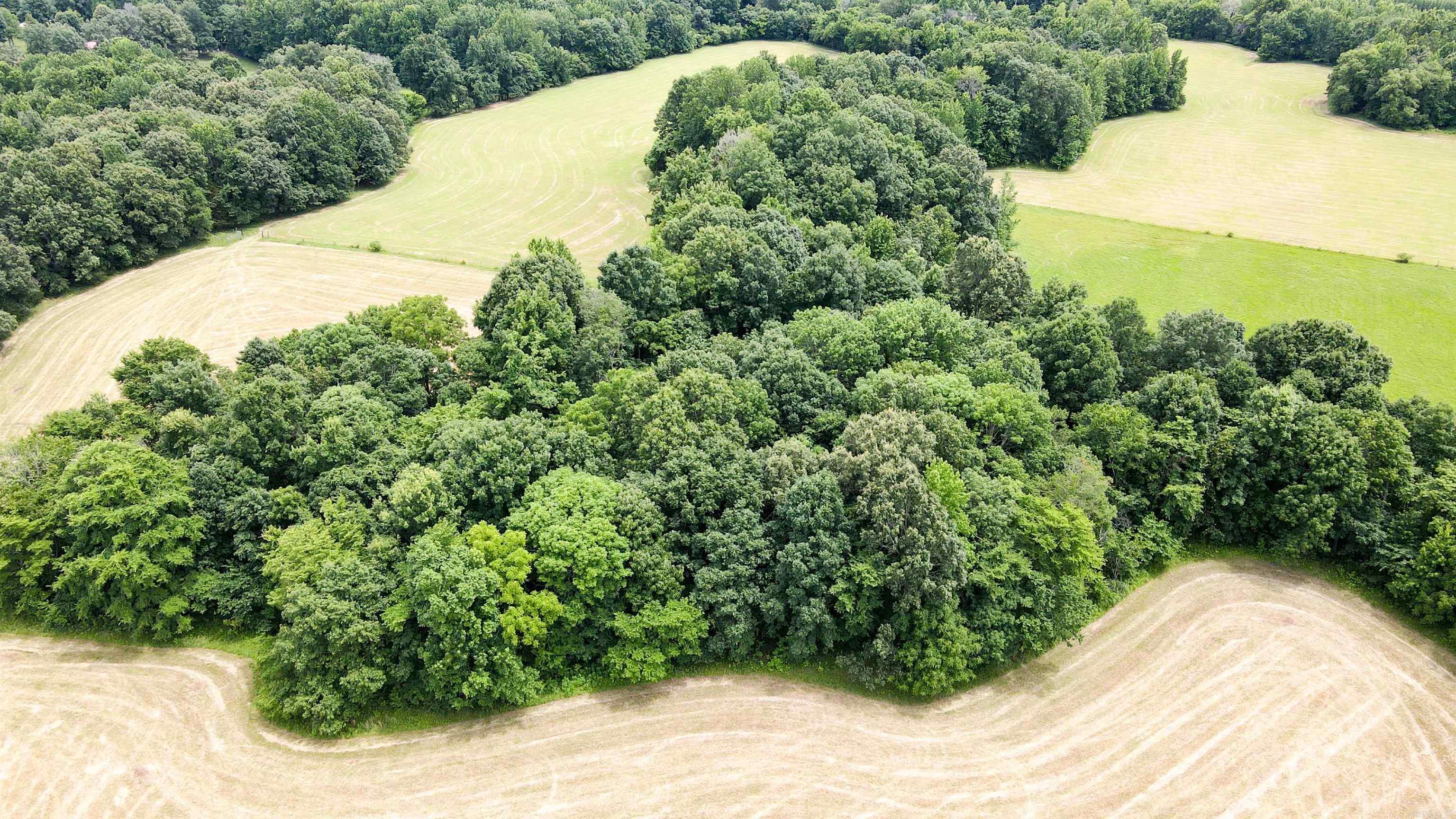 73.22 acres Greene 620  Paragould, AR