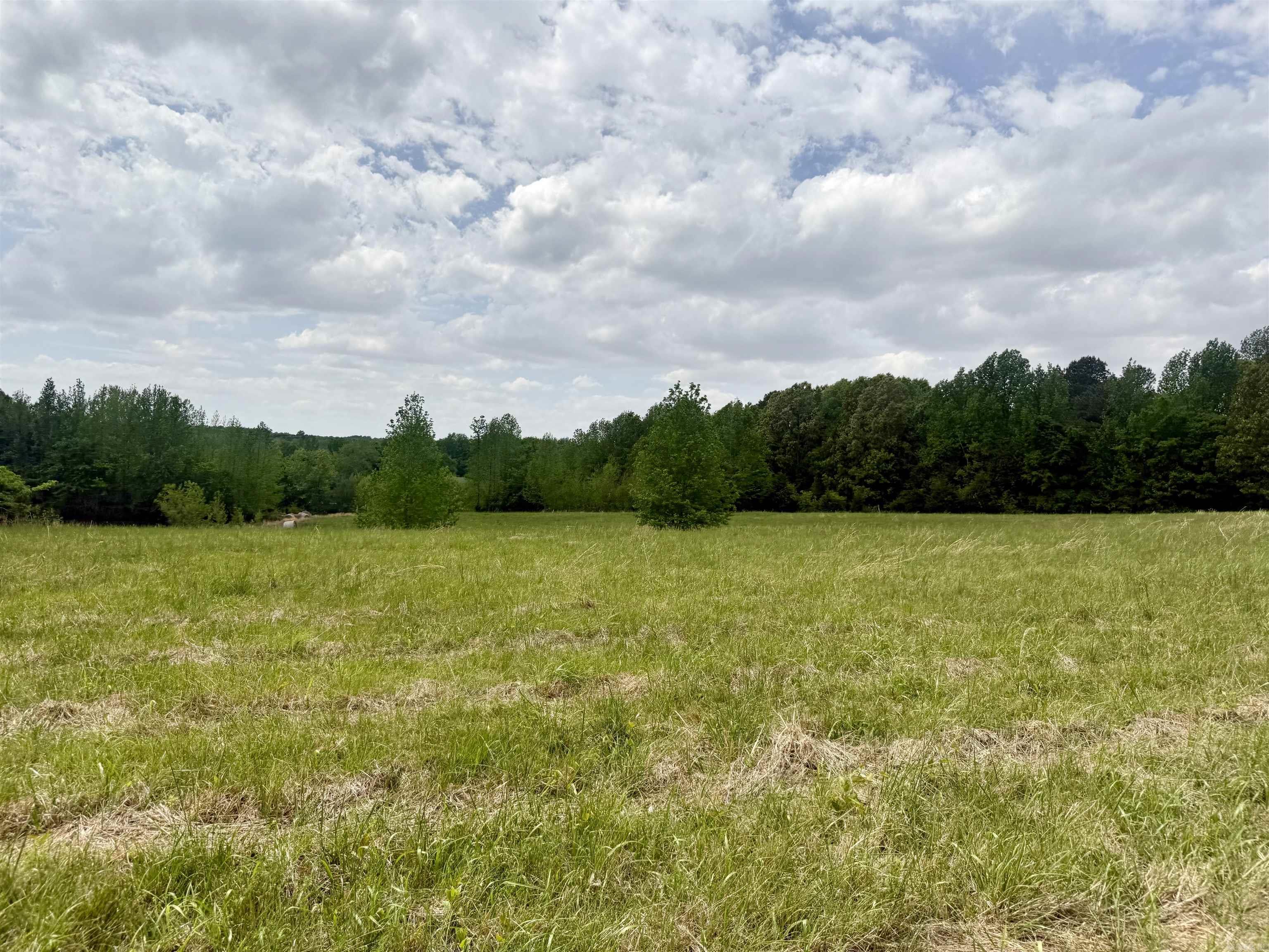 73.22 acres Greene 620  Paragould, AR