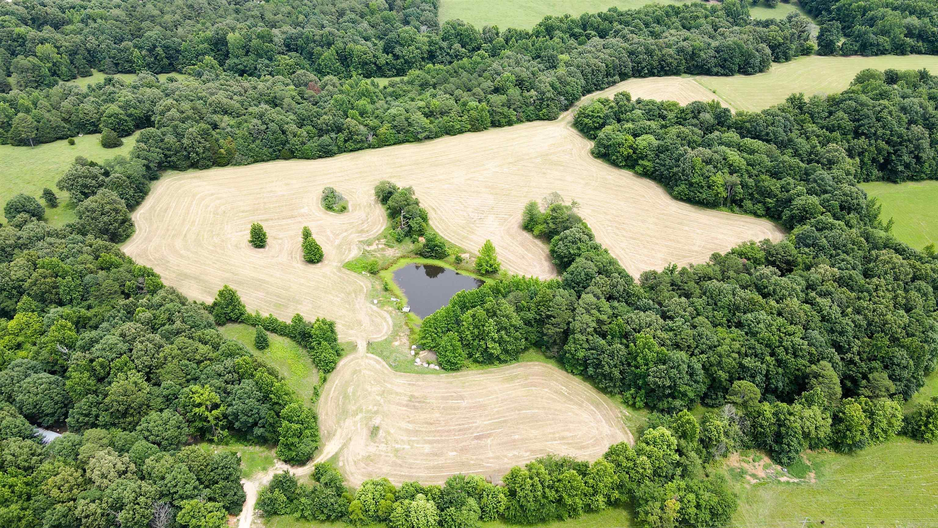 73.22 acres Greene 620  Paragould, AR