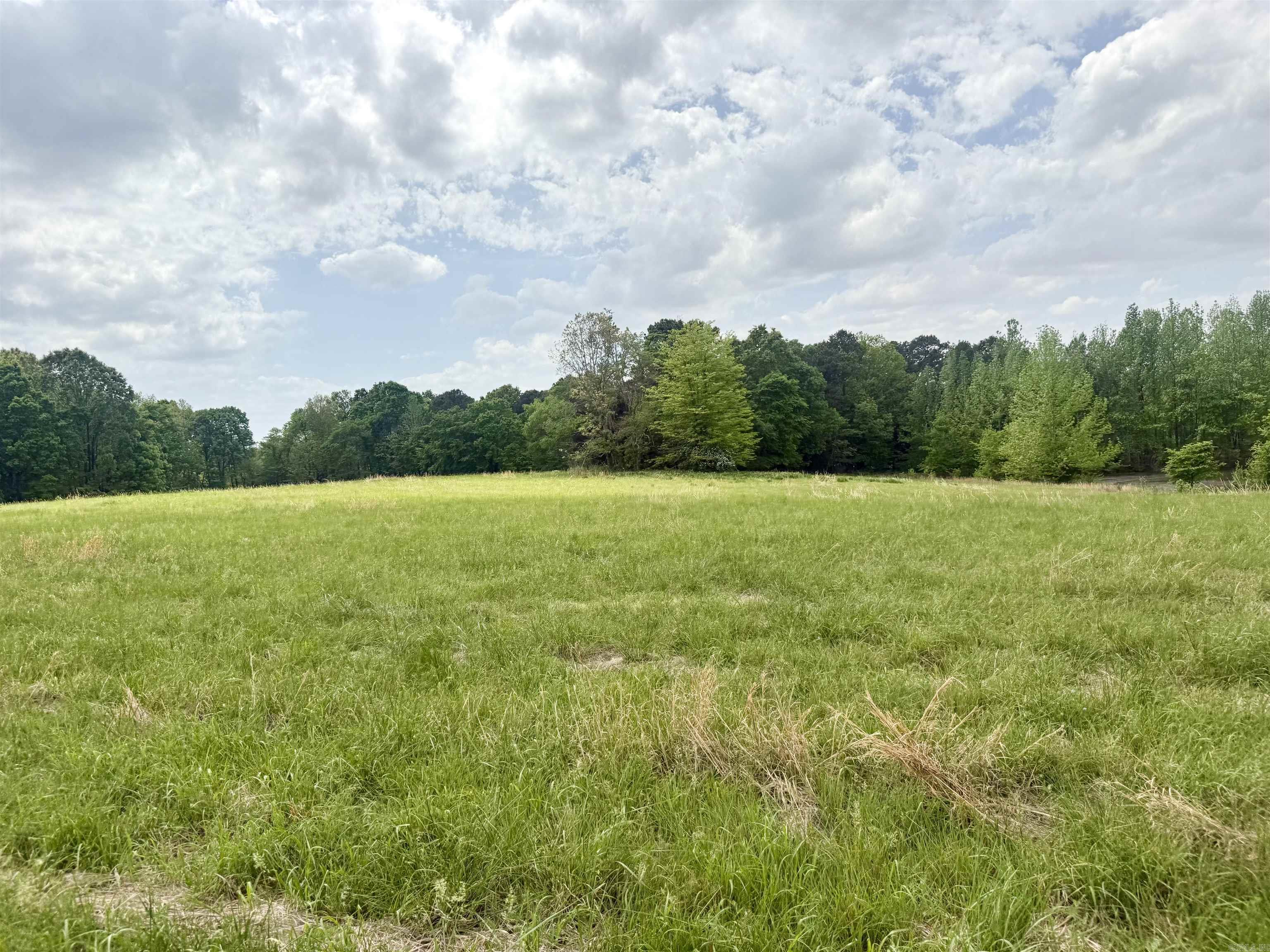 73.22 acres Greene 620  Paragould, AR