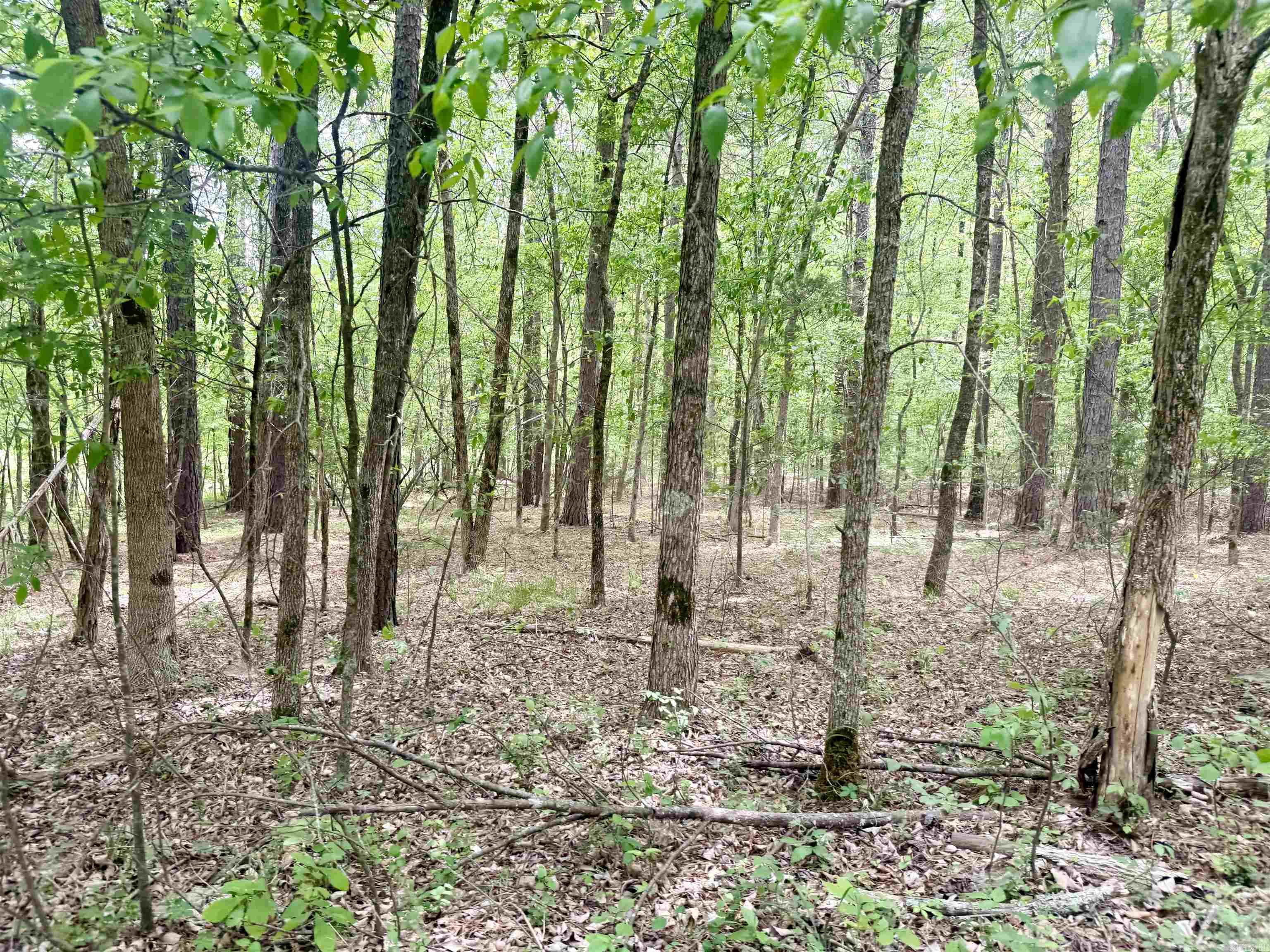 73.22 acres Greene 620  Paragould, AR