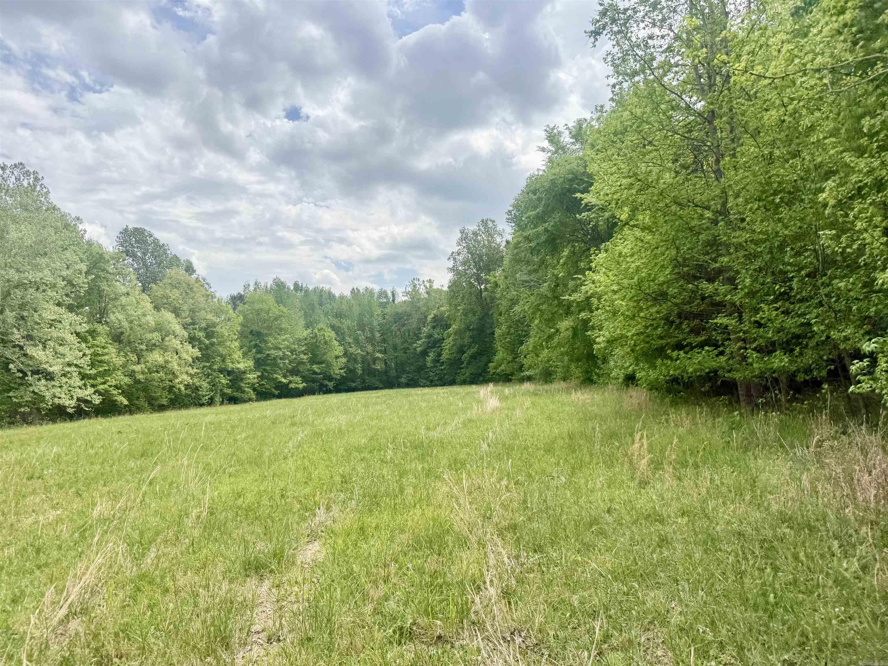 73.22 acres Greene 620  Paragould, AR