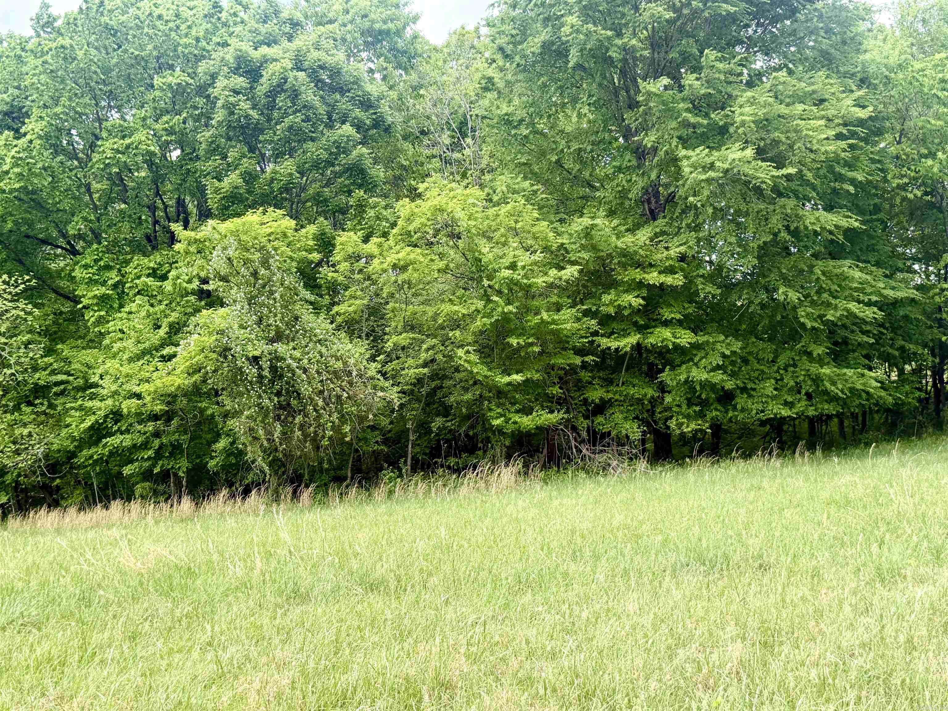73.22 acres Greene 620  Paragould, AR