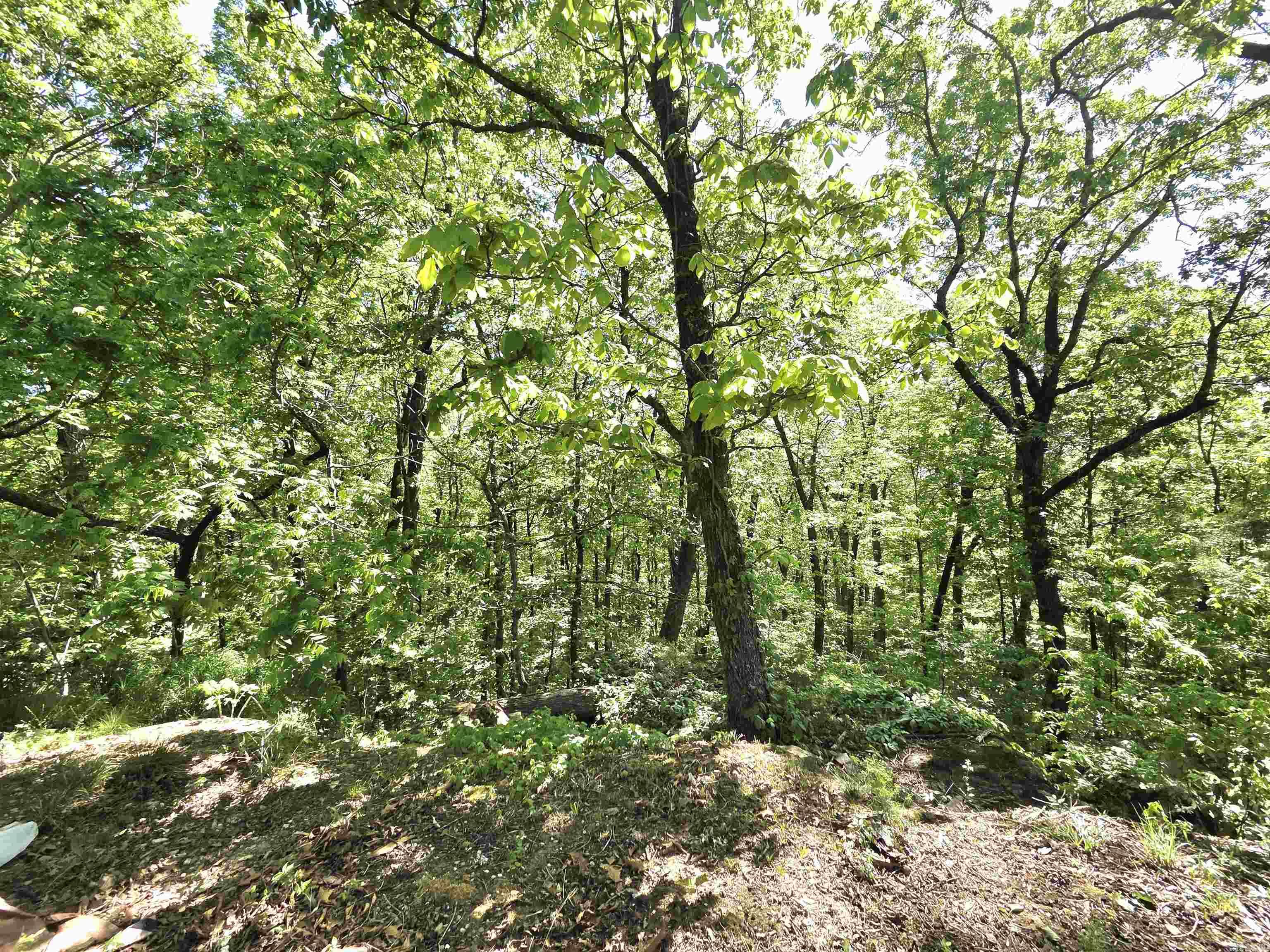 304 Black Bear Bluff  Mountain View, AR