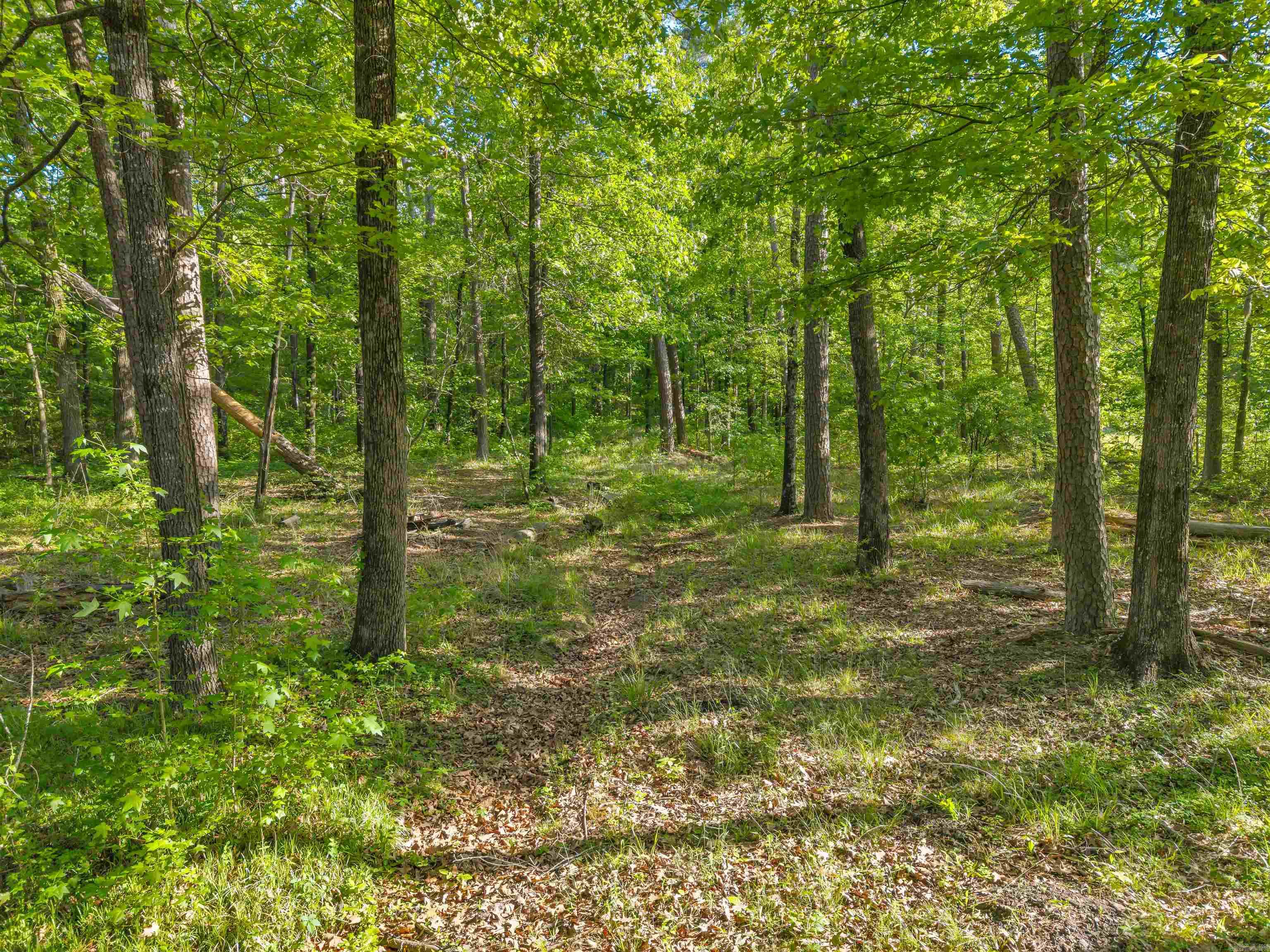 250 Pine Valley  Houston, AR