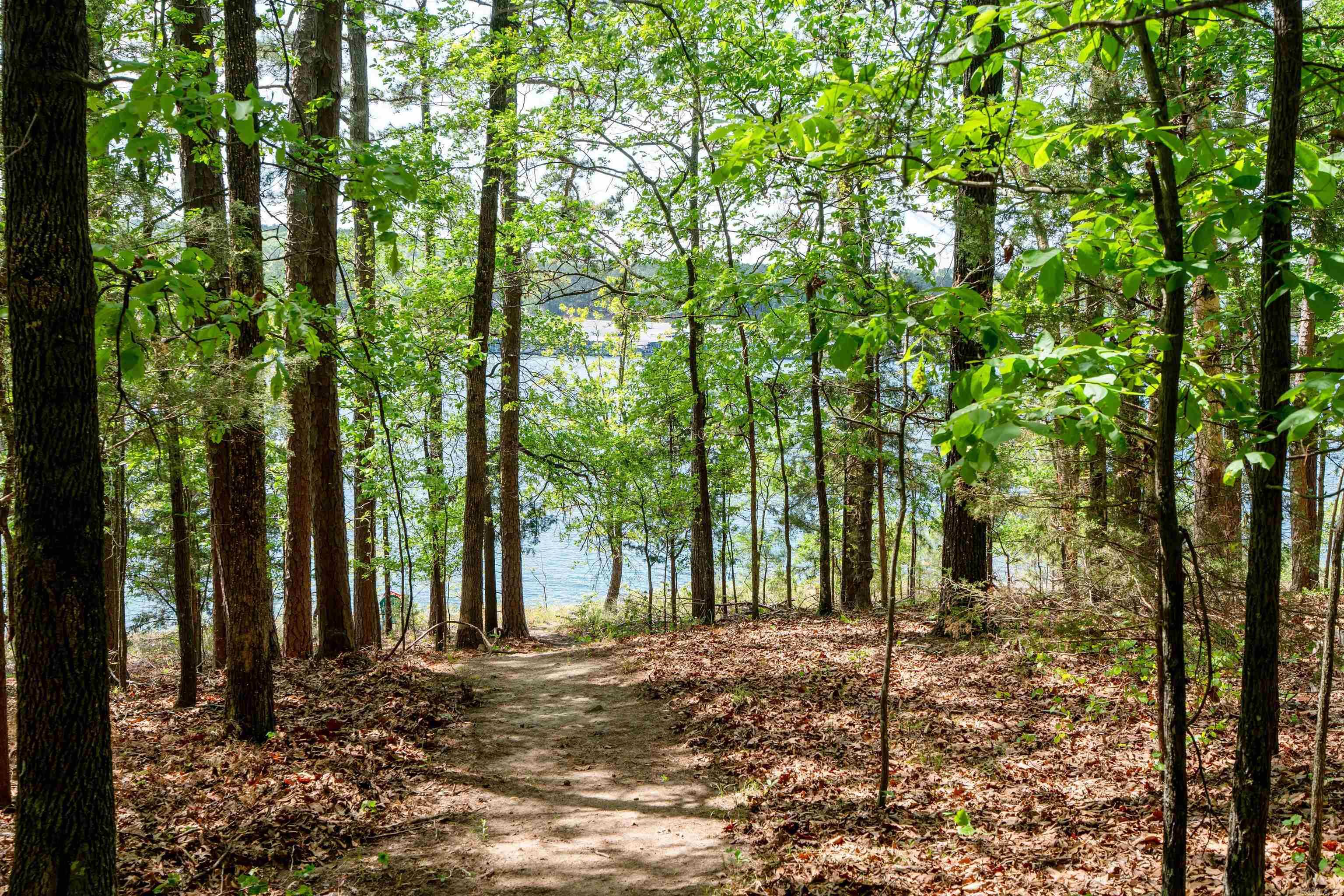 272 Highland  Tumbling Shoals, AR