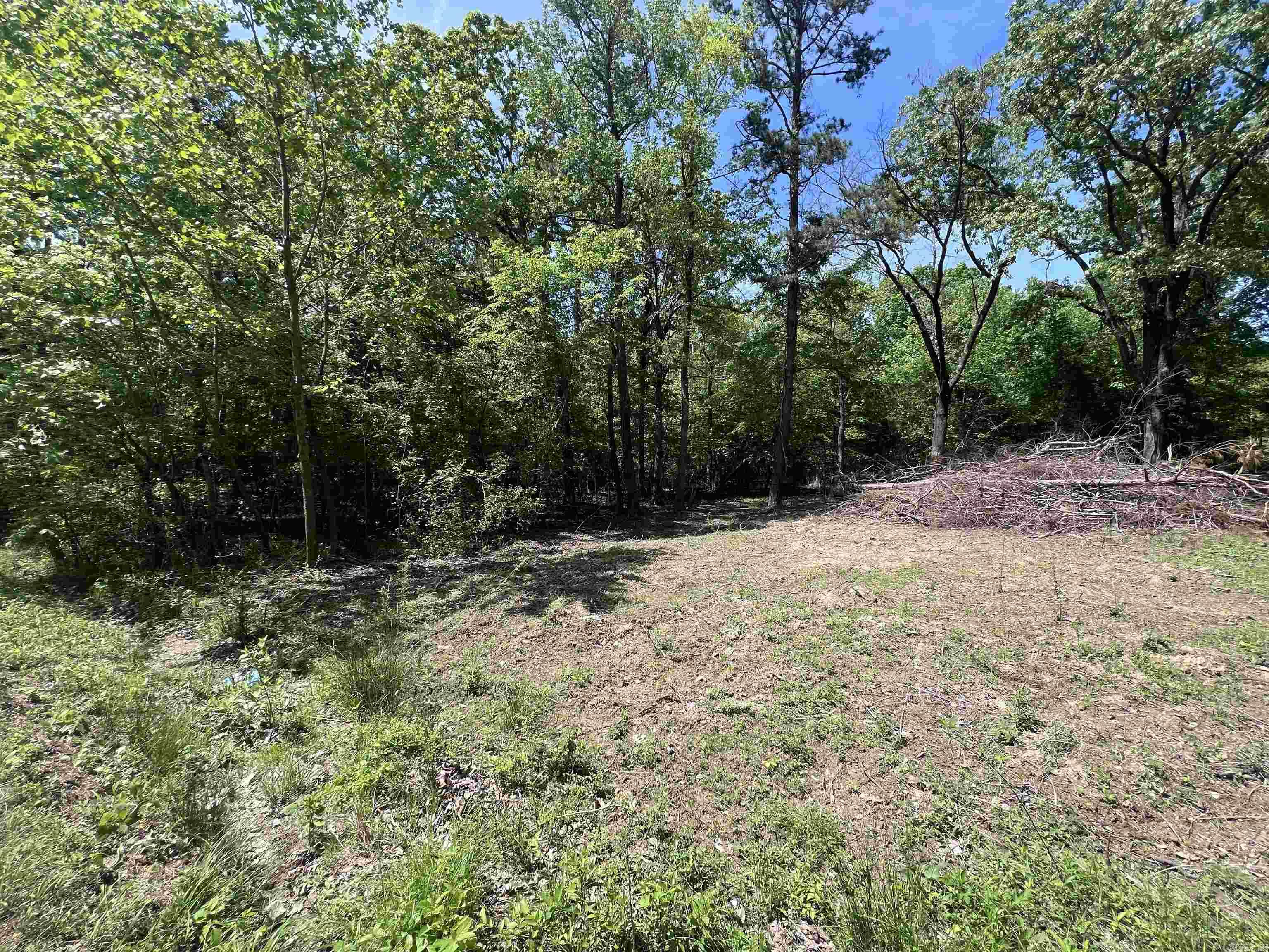 0 Kanis Road  Paron, AR