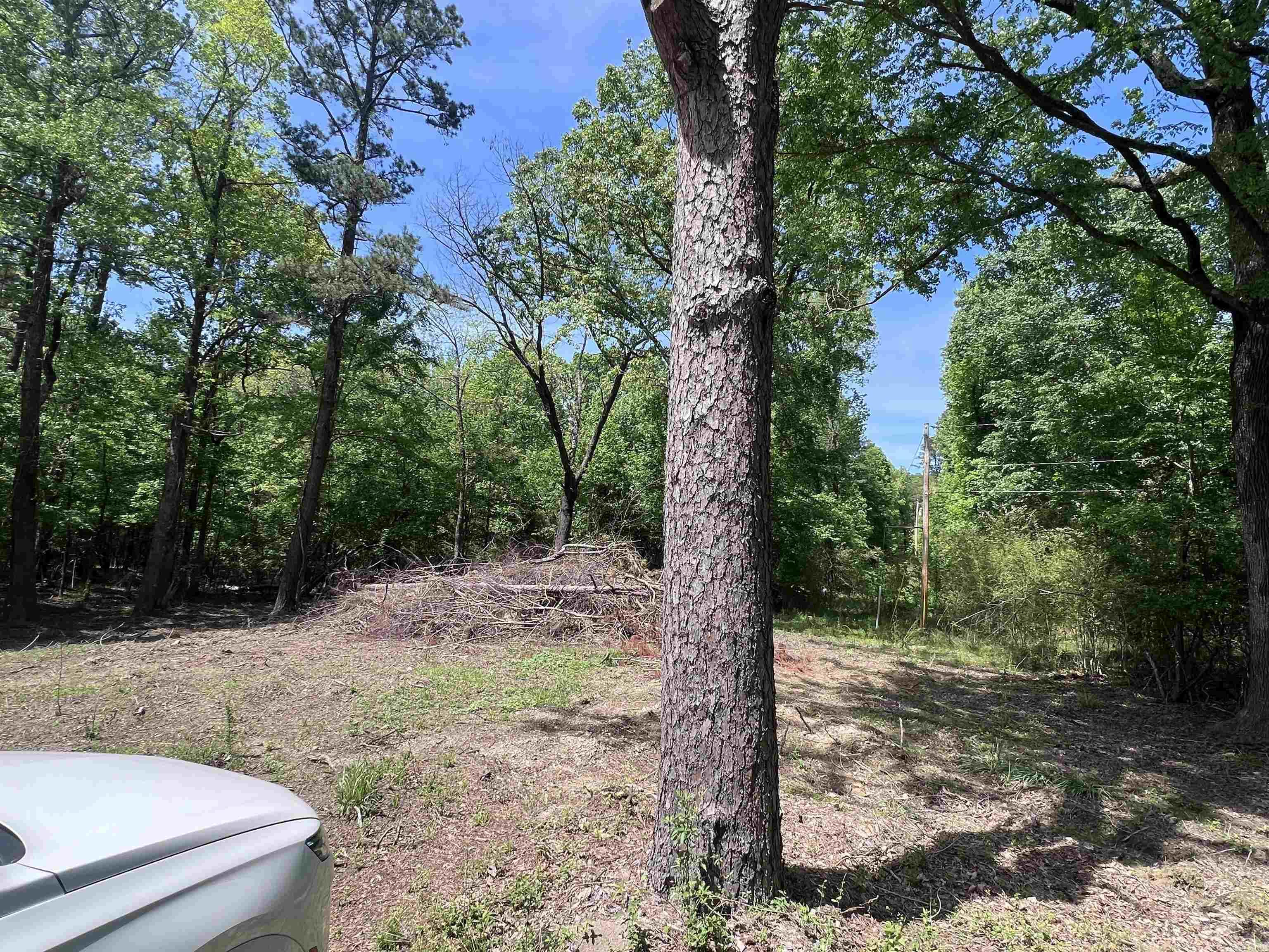 0 Kanis Road  Paron, AR