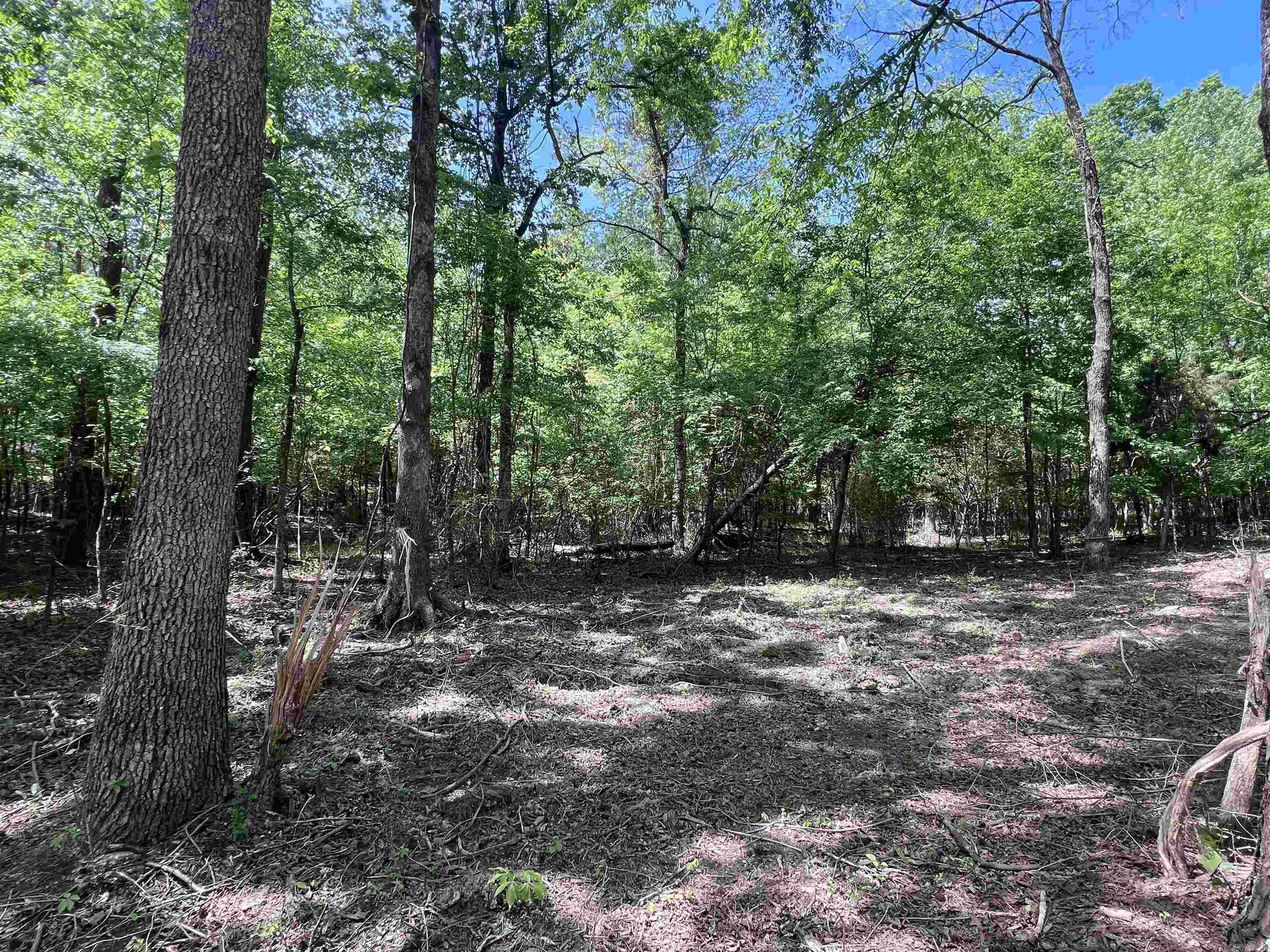 0 Kanis Road  Paron, AR