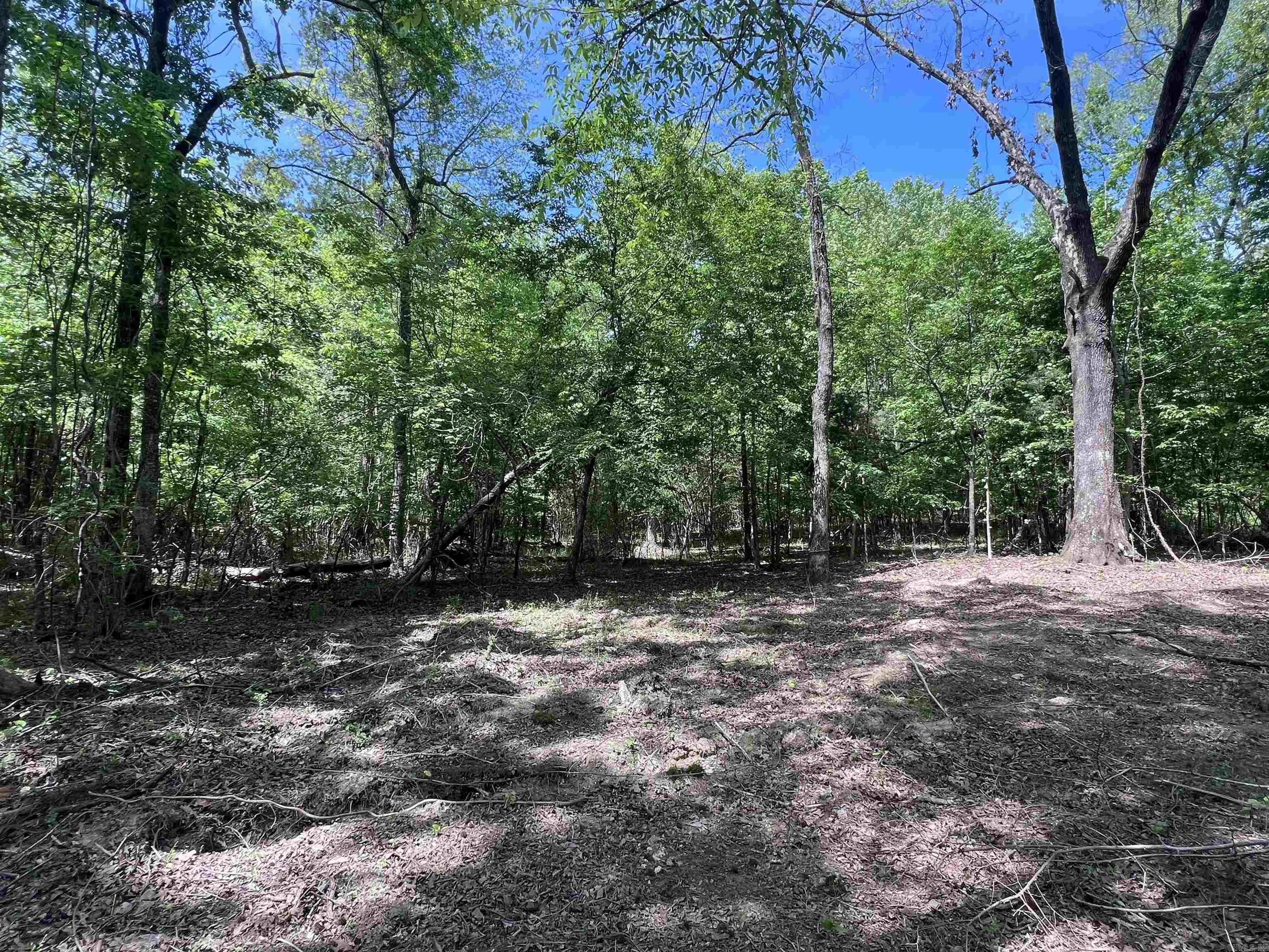 0 Kanis Road  Paron, AR