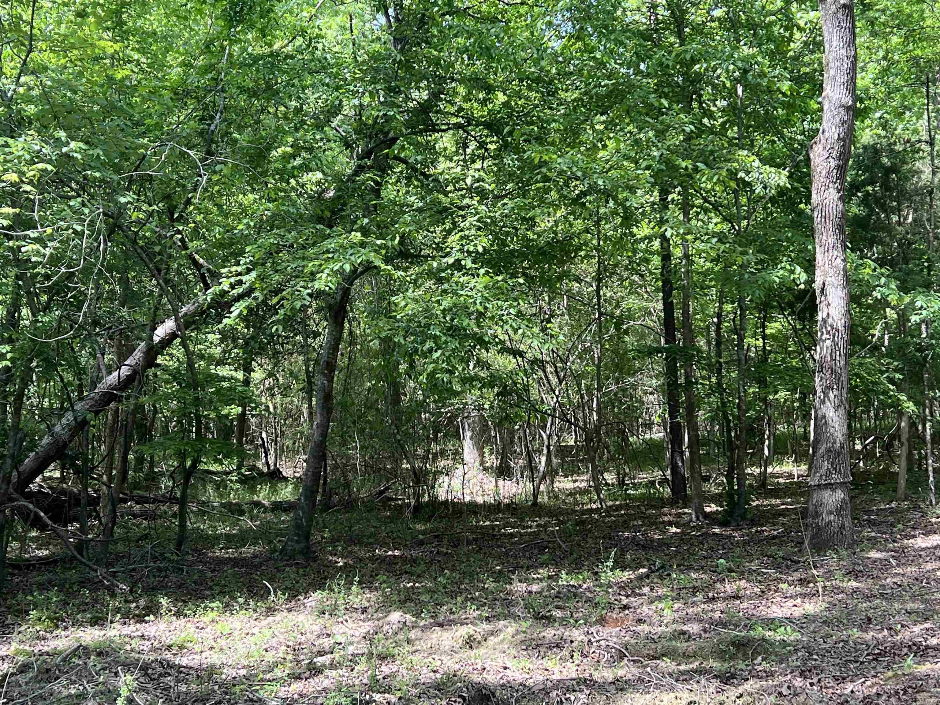 0 Kanis Road  Paron, AR