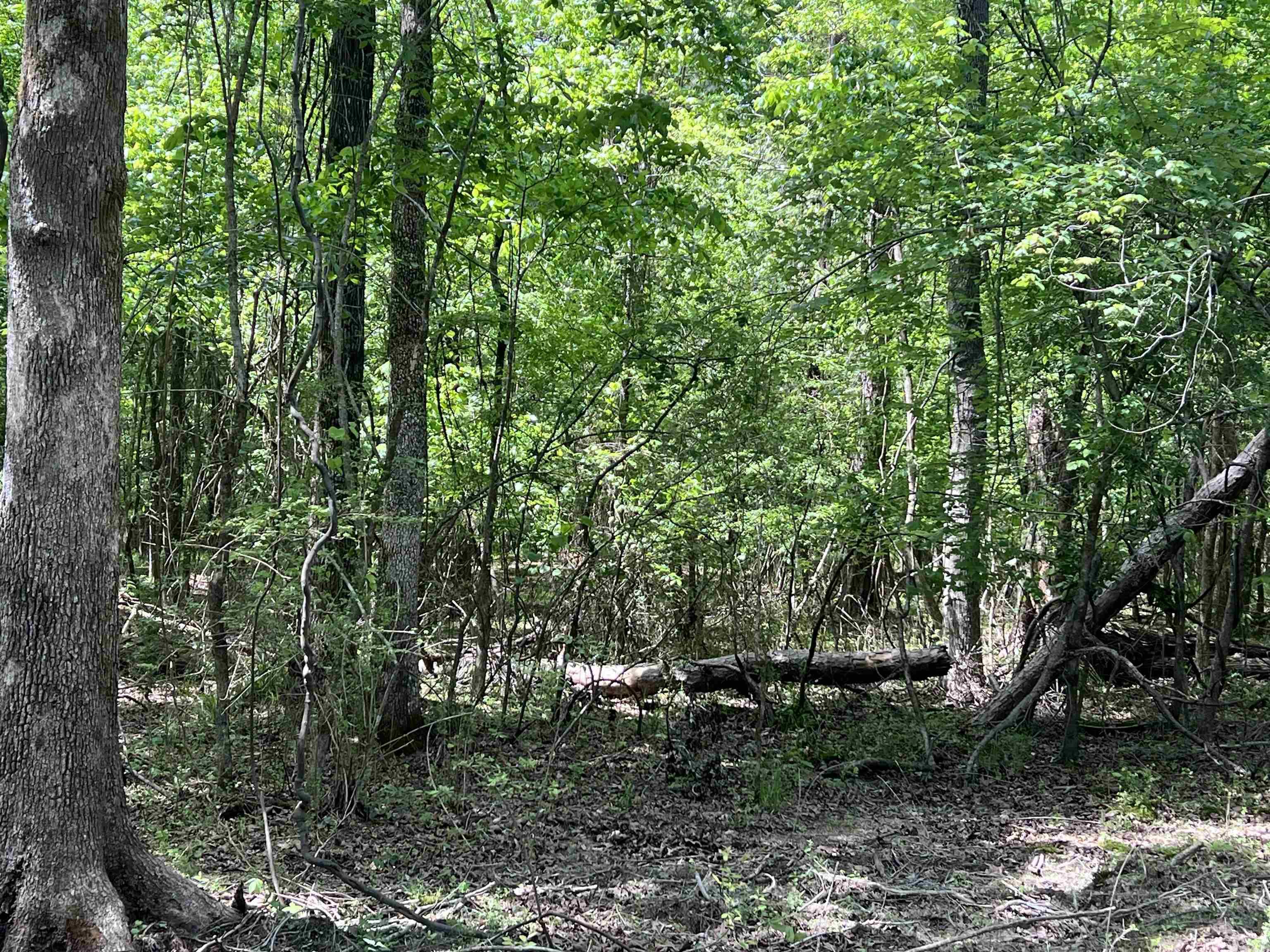 0 Kanis Road  Paron, AR