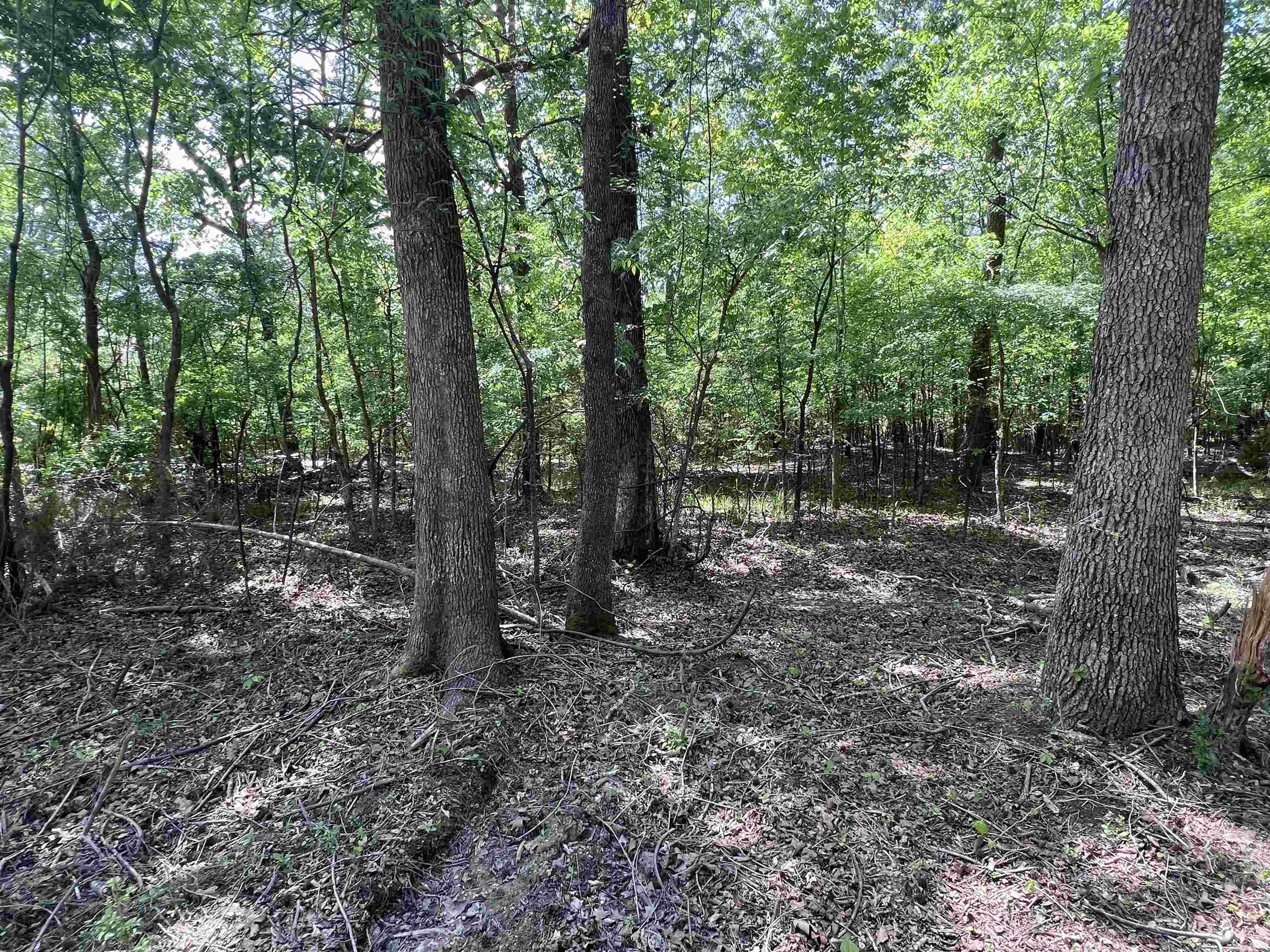 0 Kanis Road  Paron, AR