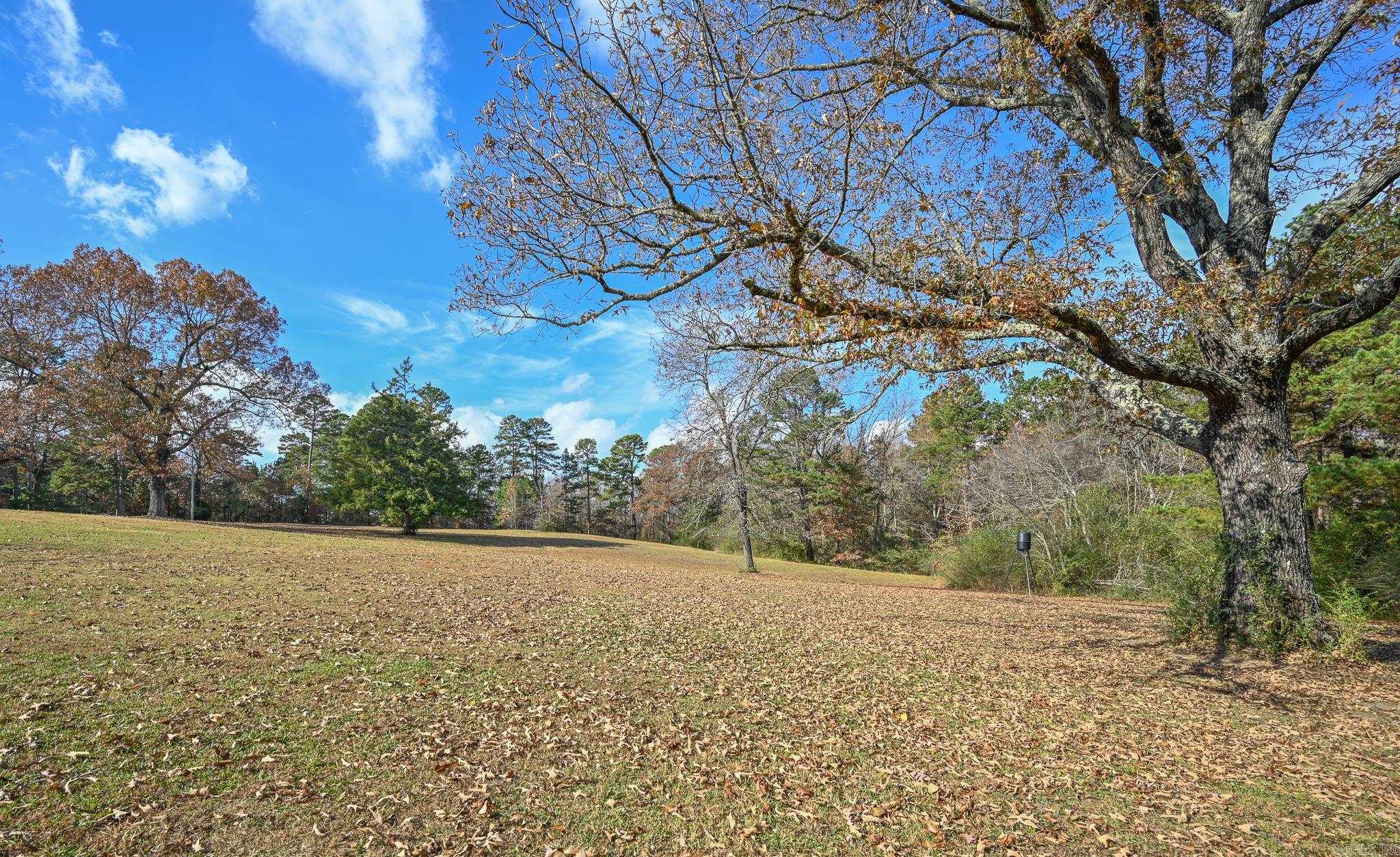 2210 S Reine Street  Mena, AR