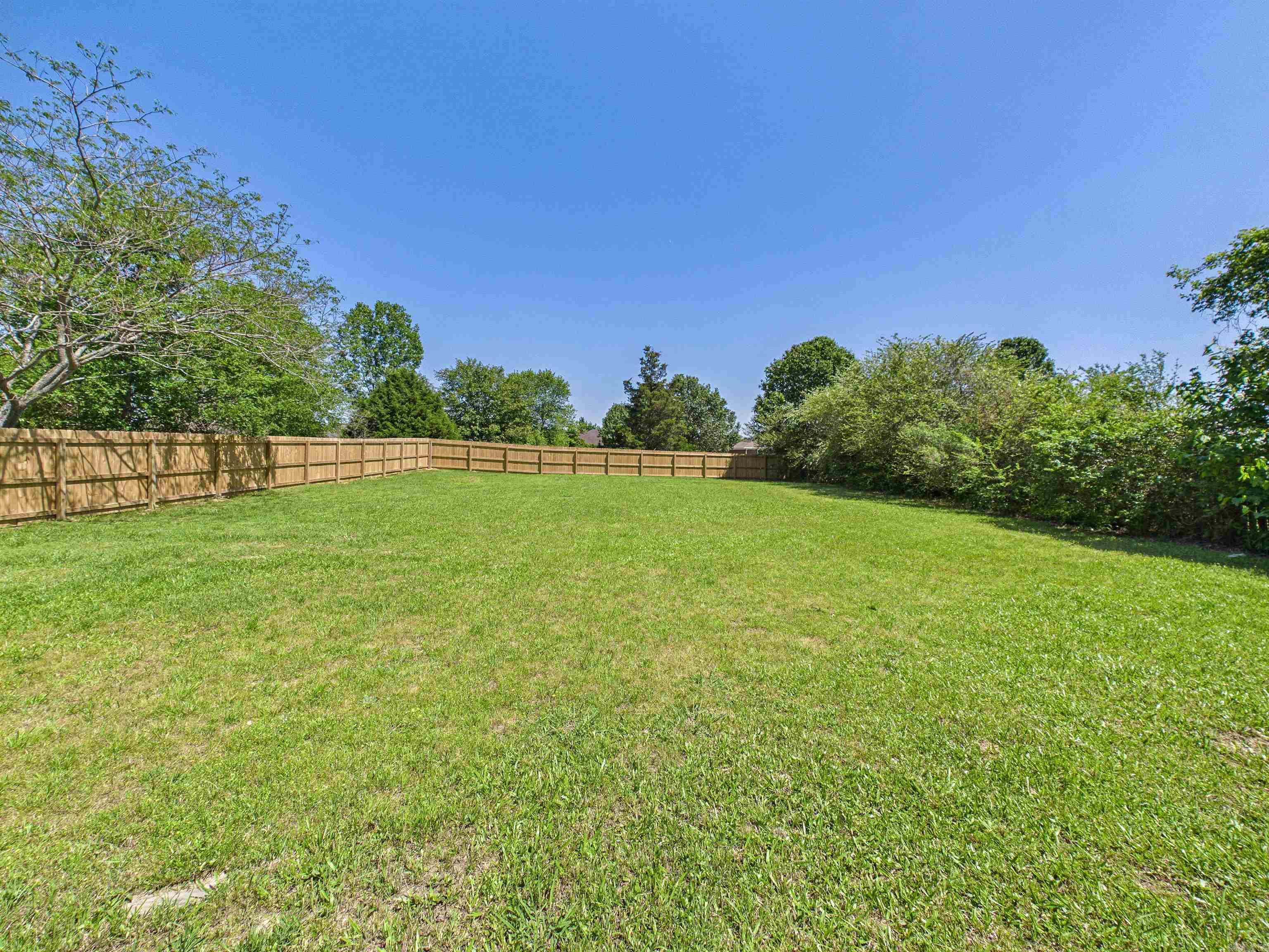 13 Hummingbird  Vilonia, AR