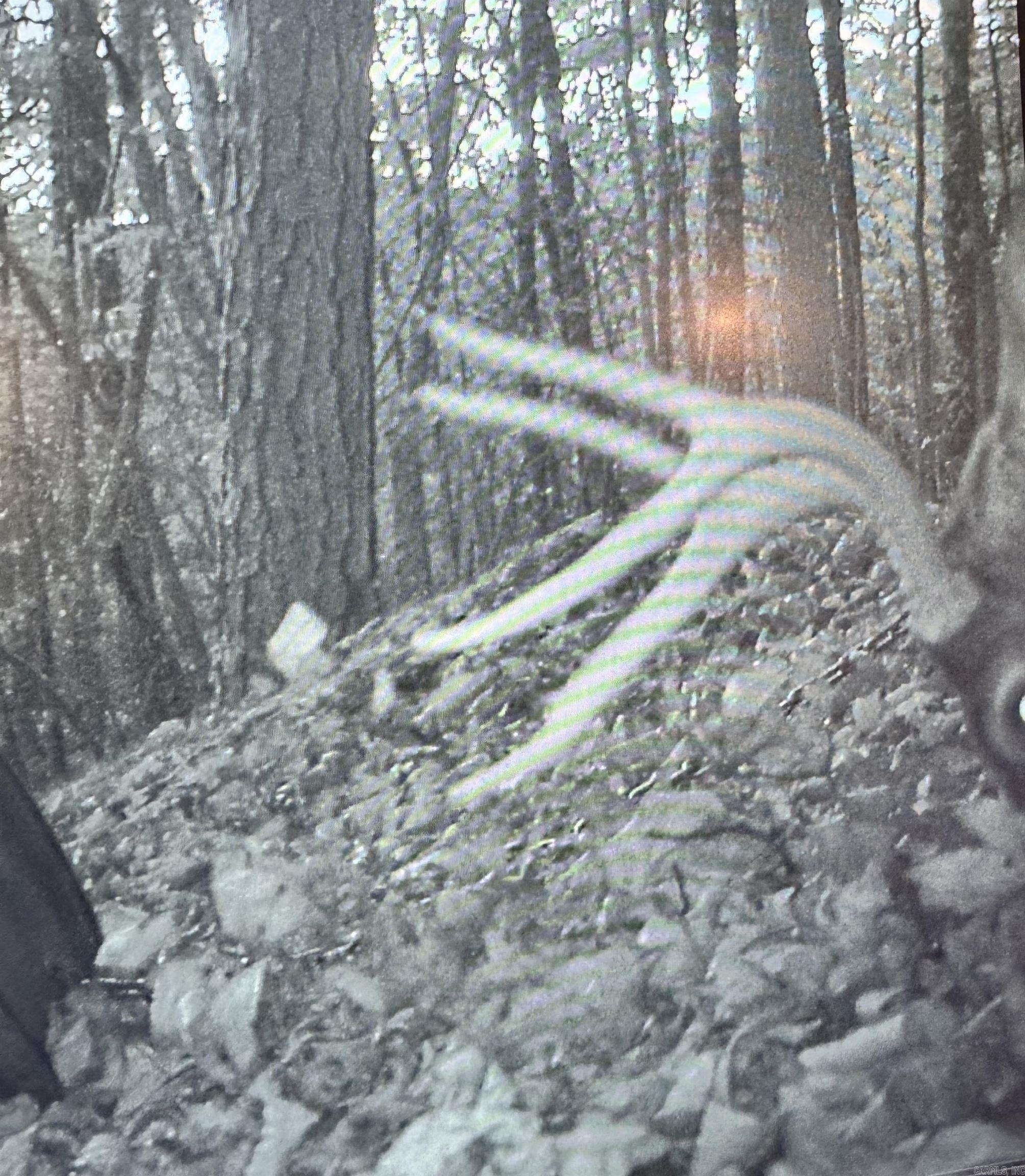 2883 Peyton Creek Rd  Dennard, AR