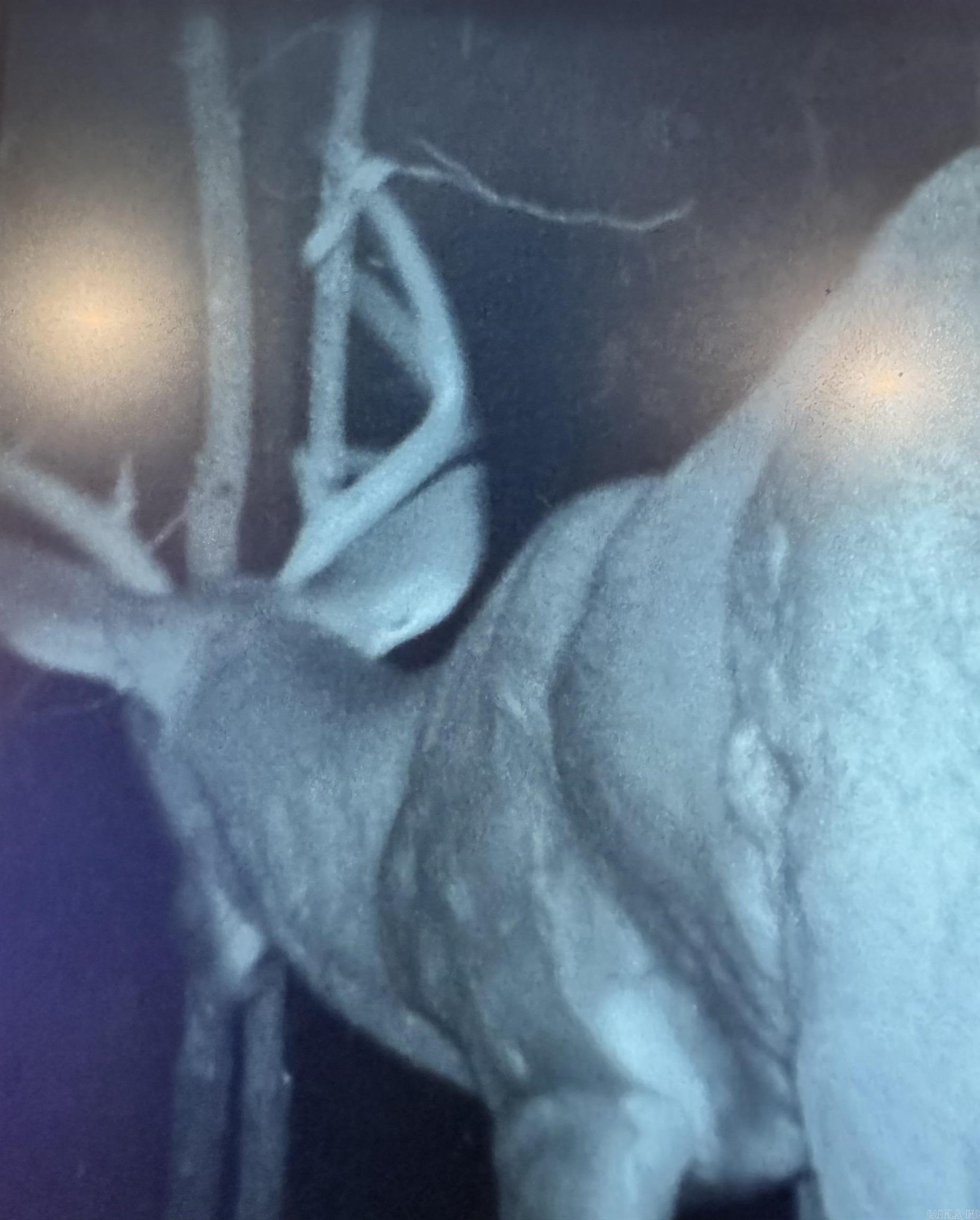 2883 Peyton Creek Rd  Dennard, AR