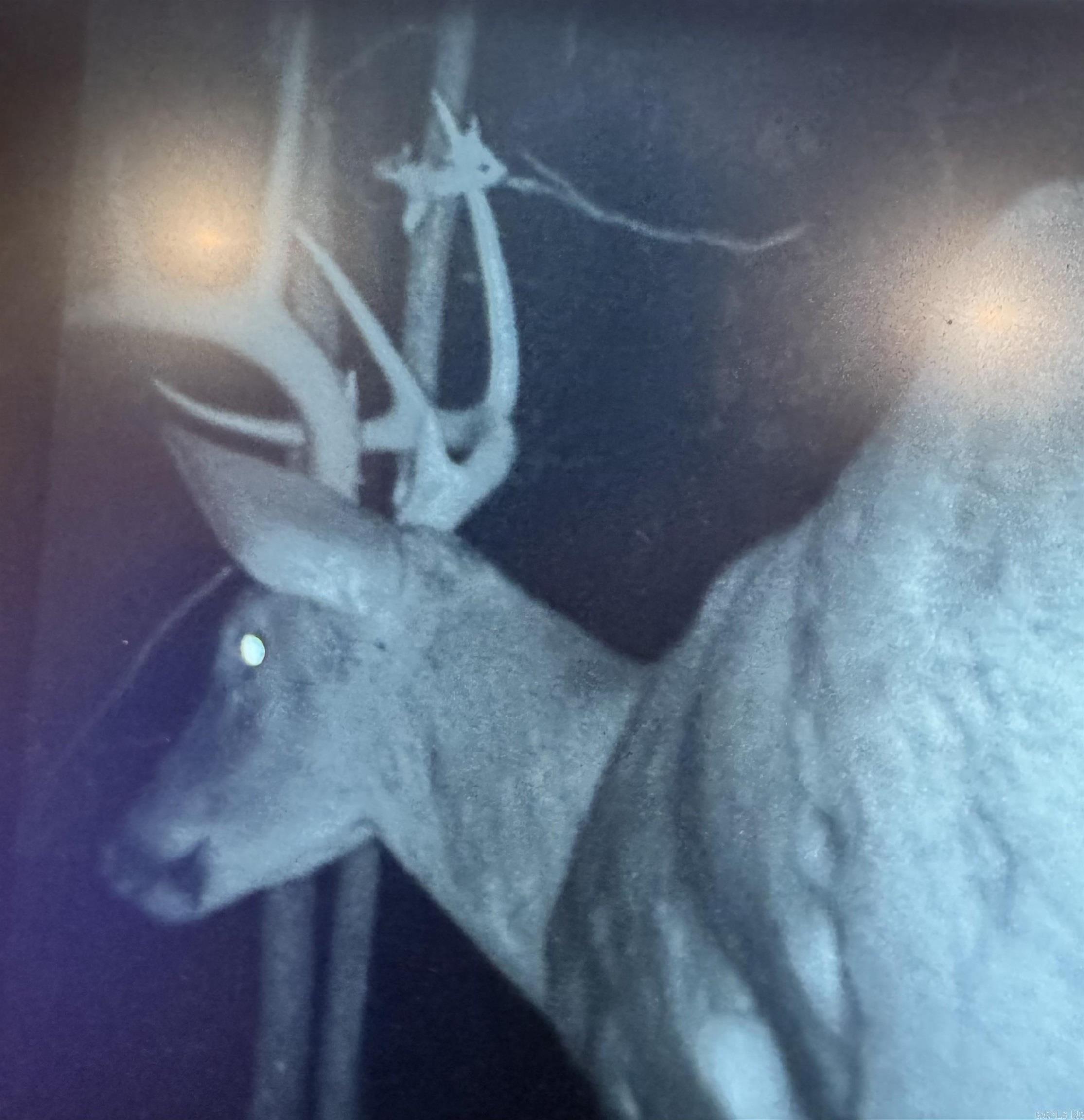 2883 Peyton Creek Rd  Dennard, AR