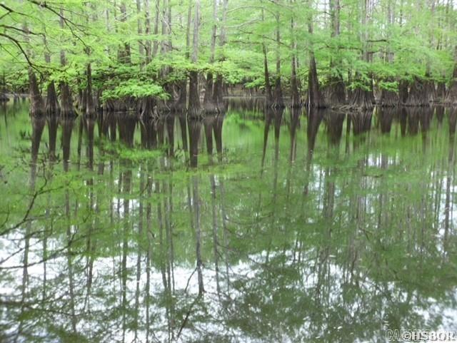 4152 Calhoun 245  Hampton, AR