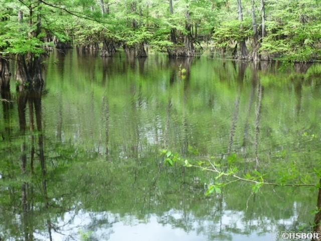 4152 Calhoun 245  Hampton, AR