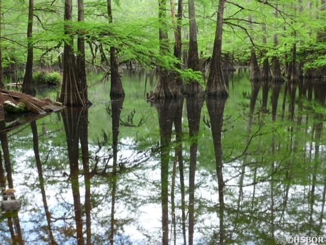 4152 Calhoun 245  Hampton, AR