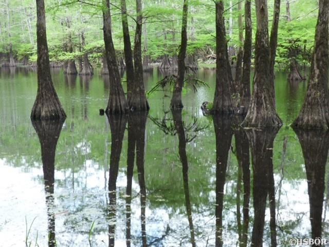 4152 Calhoun 245  Hampton, AR