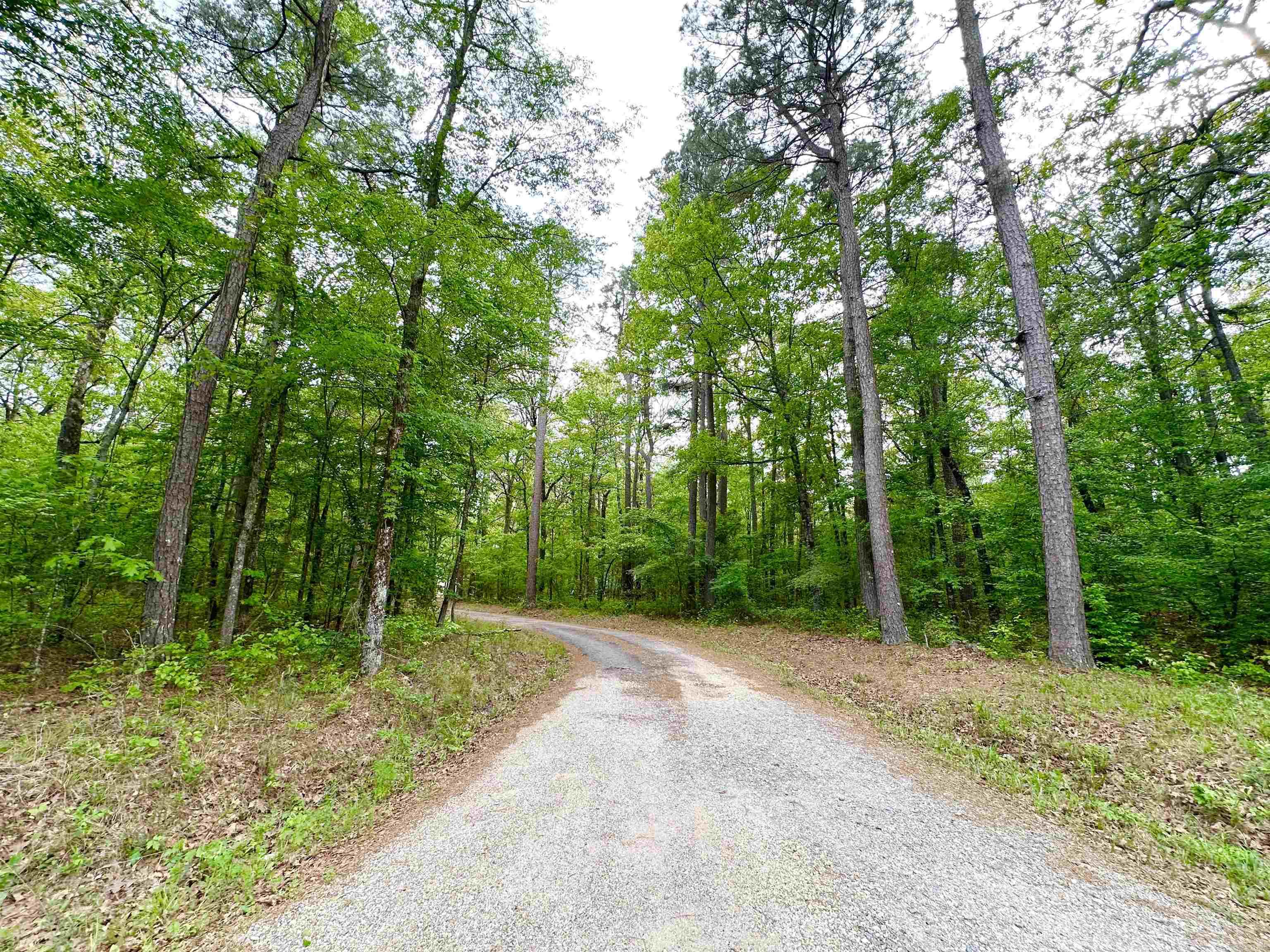 2701 Highway 35  Monticello, AR