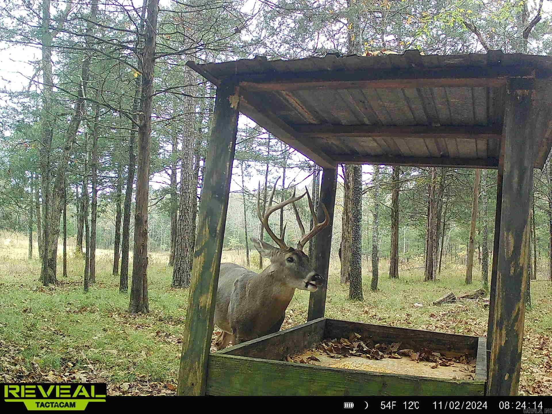 0 Camp Tahkodah  Floral, AR