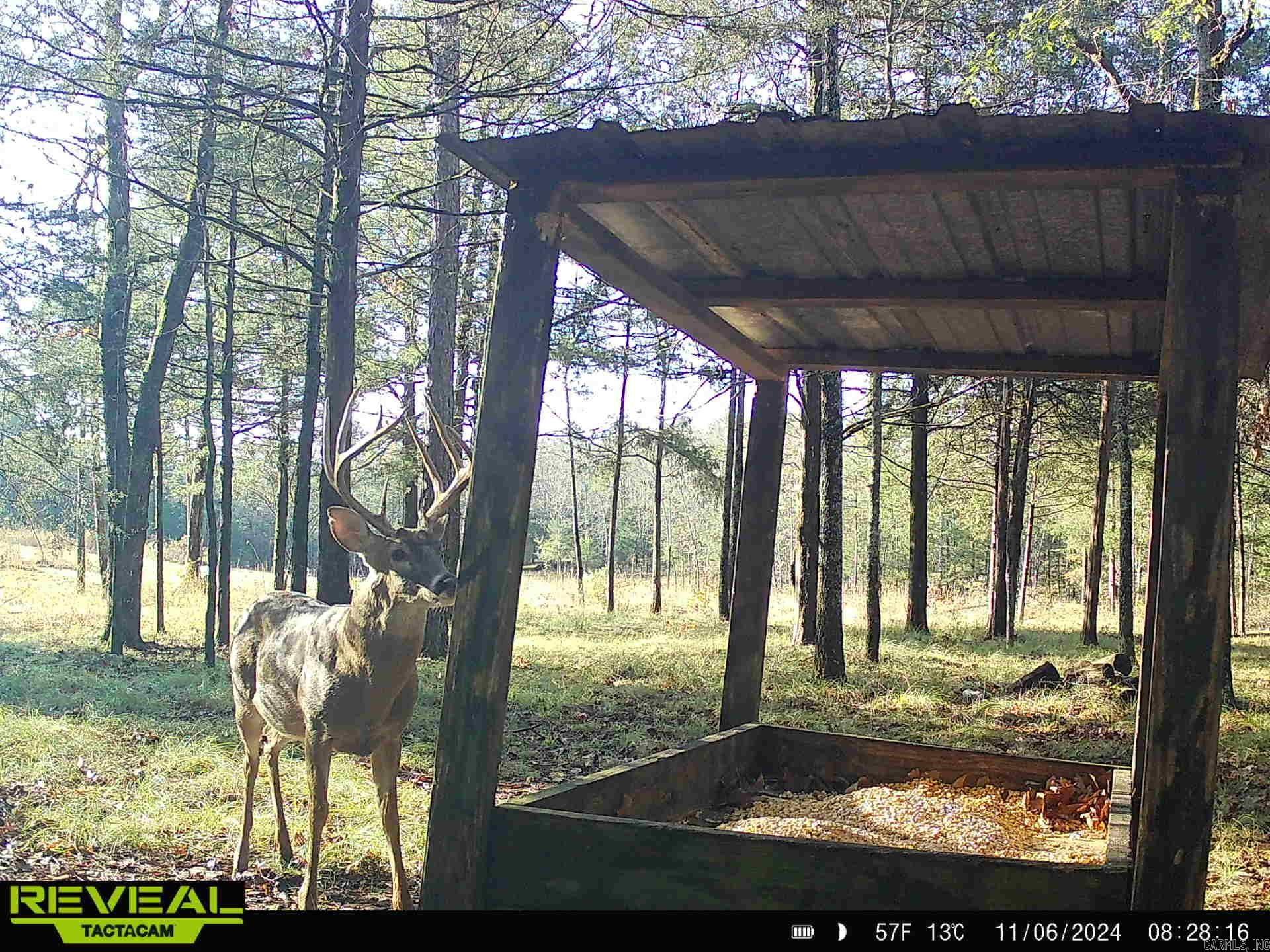 0 Camp Tahkodah  Floral, AR