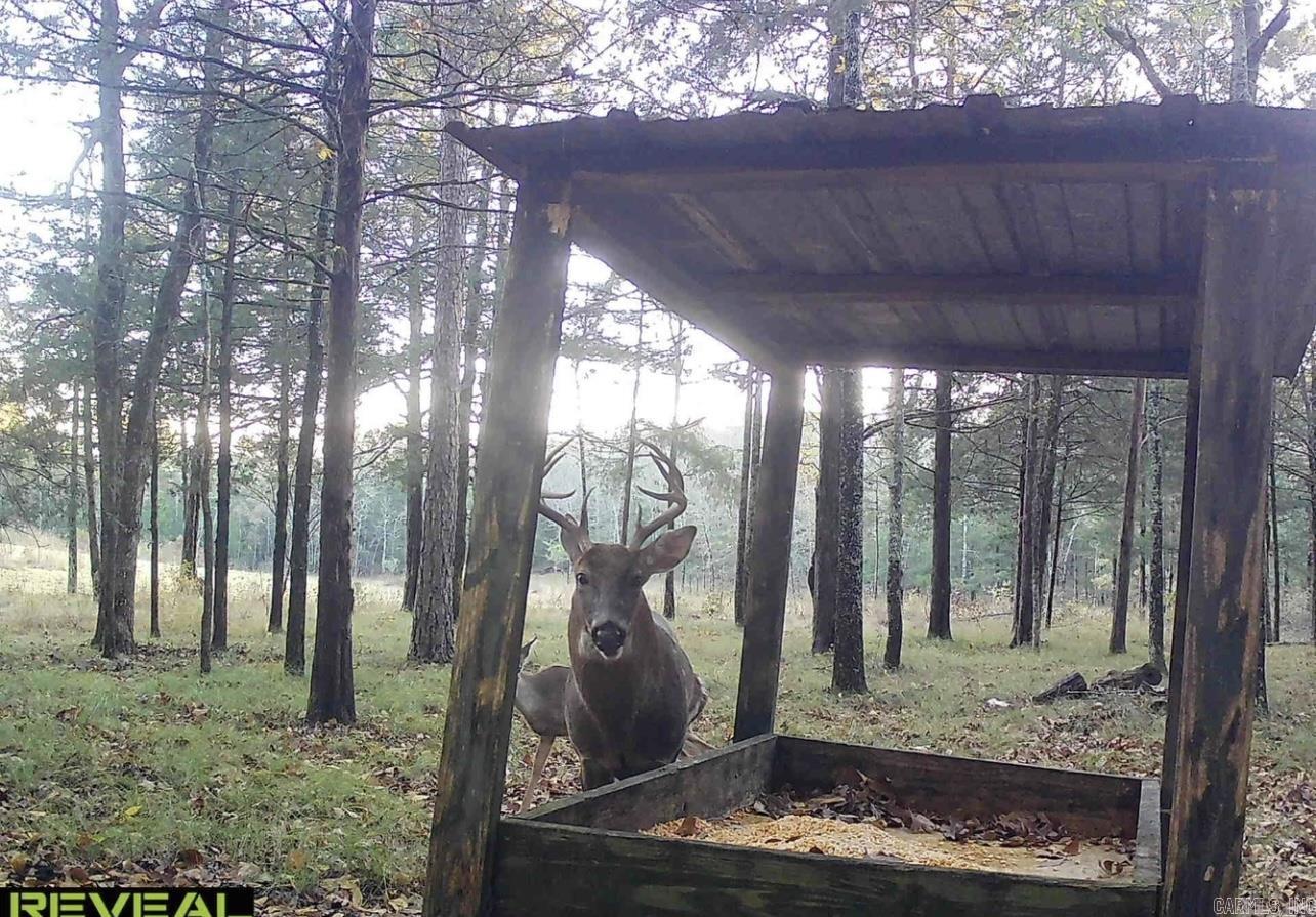 0 Camp Tahkodah  Floral, AR