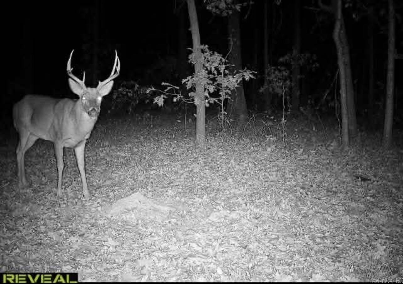 0 Camp Tahkodah  Floral, AR