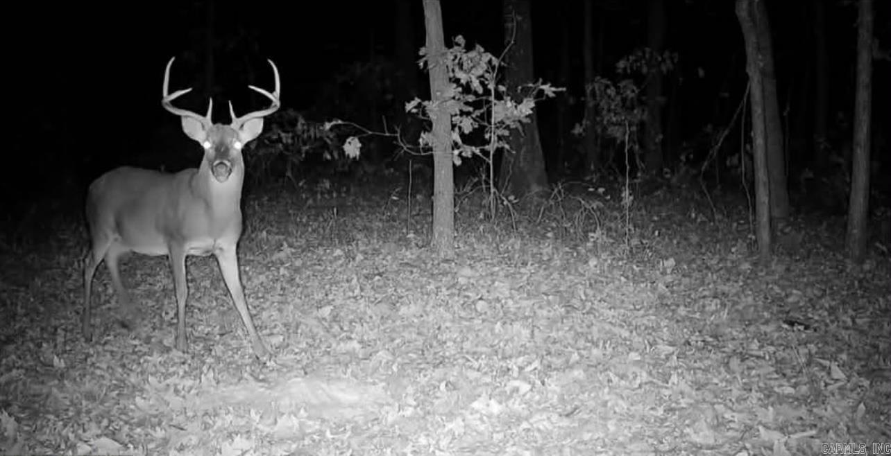 0 Camp Tahkodah  Floral, AR